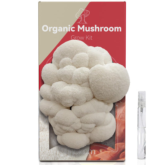 inbloom Organic Lion's Mane Mushroom Growing Kit with Spray, Harvest Fresh Mushrooms at Home, Beginner Friendly & Easy to Use, Unique Gardening Gift for Holiday, Handmade in New Jersey, USA