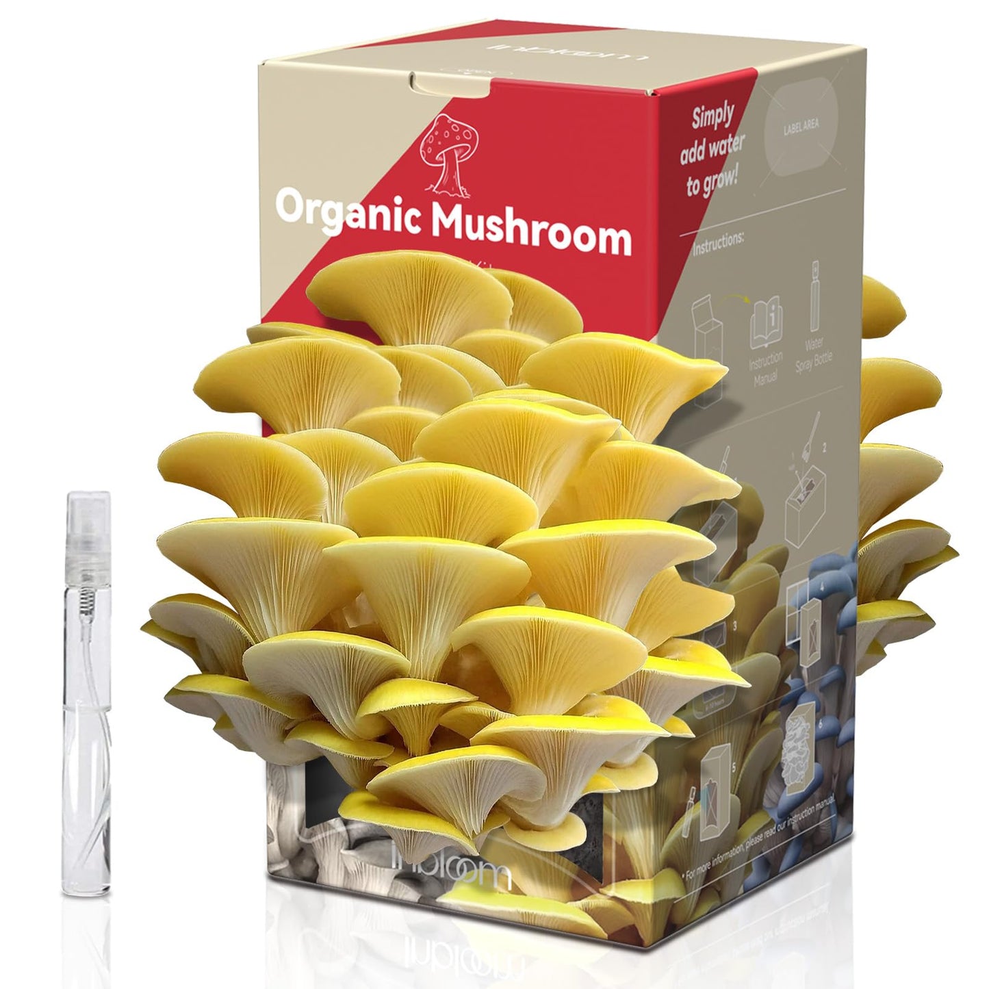 inbloom Organic Golden Oyster Mushroom Growing Kit with Spray, Harvest Fresh Mushrooms at Home, Beginner Friendly & Easy to Use, Unique Gardening Gift for Holiday, Handmade in New Jersey, USA
