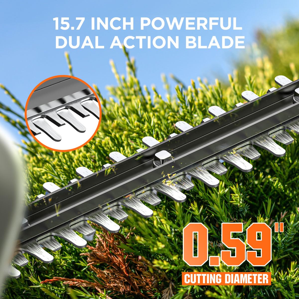 Litheli 20V Cordless Hedge Trimmer 15.7" (5/8" Cut), 3.75lbs Ultra-Lightweight Battery Powered Bush Trimmer with Hardened Steel Dual Action Blade, Portable Shrub Trimmer for Garden Yard & Branch