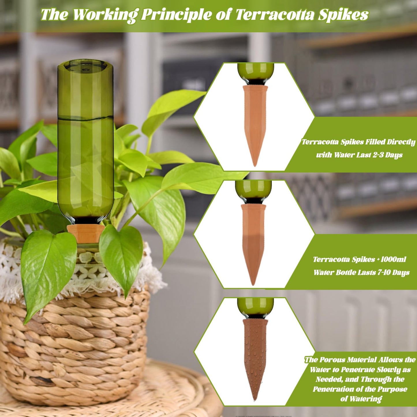TINSKY 6 Sets Plant Watering Devices Terracotta Self Watering Spikes and 26 Oz Plastic Green Bottles Slow Release Vacation Plant Waterer Automatic Planter Insert for Indoor Outdoor Plants