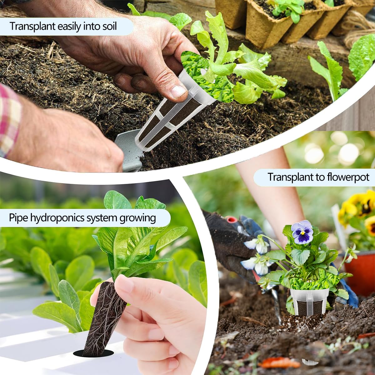 67 Seed Pod Kit for Aerogarden, Hydroponics Accessories for System Compatible with Hydroponics Supplies from All Brands, 12 Grow Sponges, 12 Grow Baskets, 12 Domes, 30 Pod Labels, 1 Tweezer (67 Pcs)