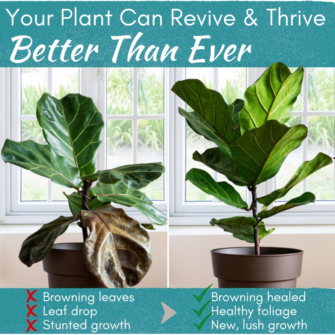 Root Rot Repair for Houseplants – Root Supplement & Recovery Drops for Overwatering or Shock | Heals Roots, Prevents Yellowing, Brown Spots & Dropping Leaves (8 oz)