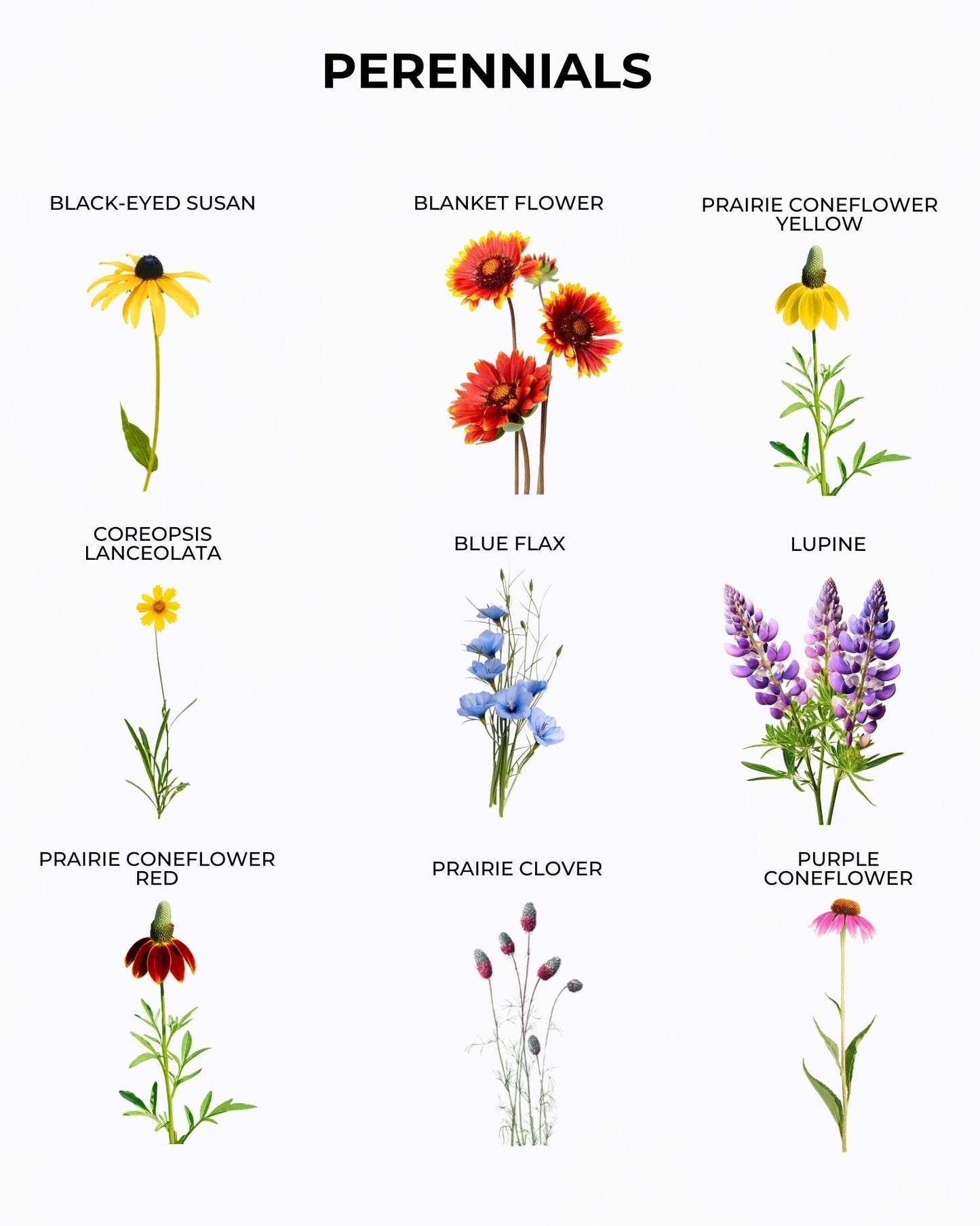 Tactiko Garden 26 Wildflower Seeds Mix, 120,000+ 4 oz Save the Bees Wildflower Garden Seeds, Annual & Perennial Pollinator Seeds to Attract Bees, Butterflies & Hummingbirds, Up to 600 sq ft Coverage