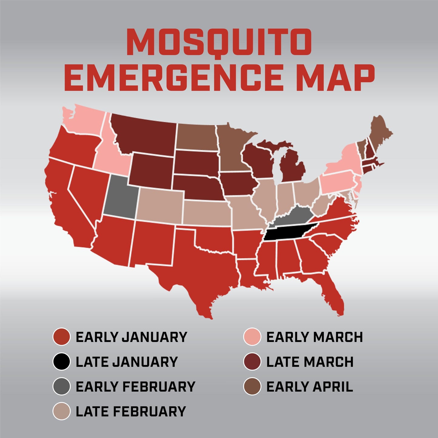 Ortho Home Defense Mosquito Kill and Prevent - Controls Mosquitoes and Larvae, Silent, Easy-to-Use, Mosquito Killer Protects up to 4,300 sq. ft., 1 Station & 2 Bands for 2 Months Protection