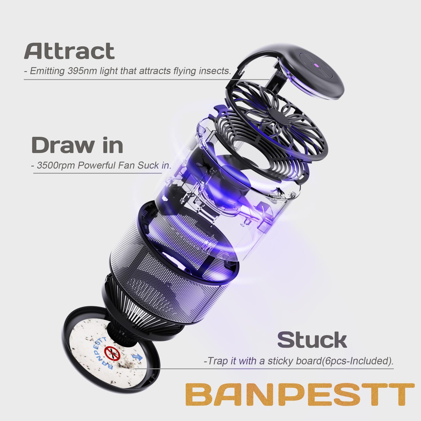 BANPESTT Automatic Insect Trap: Dusk-to-Dawn Sensor & Powerful Suction Quiet, Non-Zapper for Fruit Flies, Gnats, Mosquitoes | Includes 6 Glue Boards & UV Light (Black)