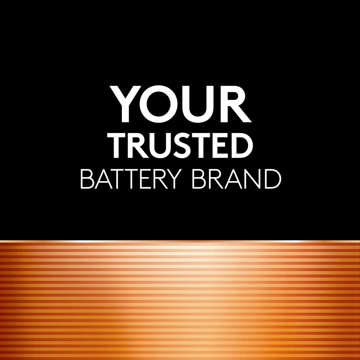 Duracell Coppertop D Batteries, 10 Count (1 Pack), D Battery with Long-Lasting Power, All-Purpose Alkaline Battery for Household and Office Devices