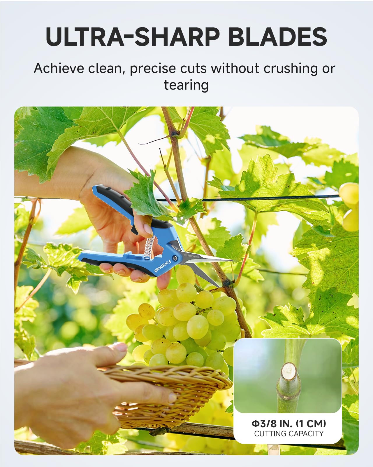 Fondwell 6.5" Pruning Shears Trimming Scissors: 2 Pack of Small Garden Snips with Micro Tip - Plant Clippers of High Cutting Efficiency