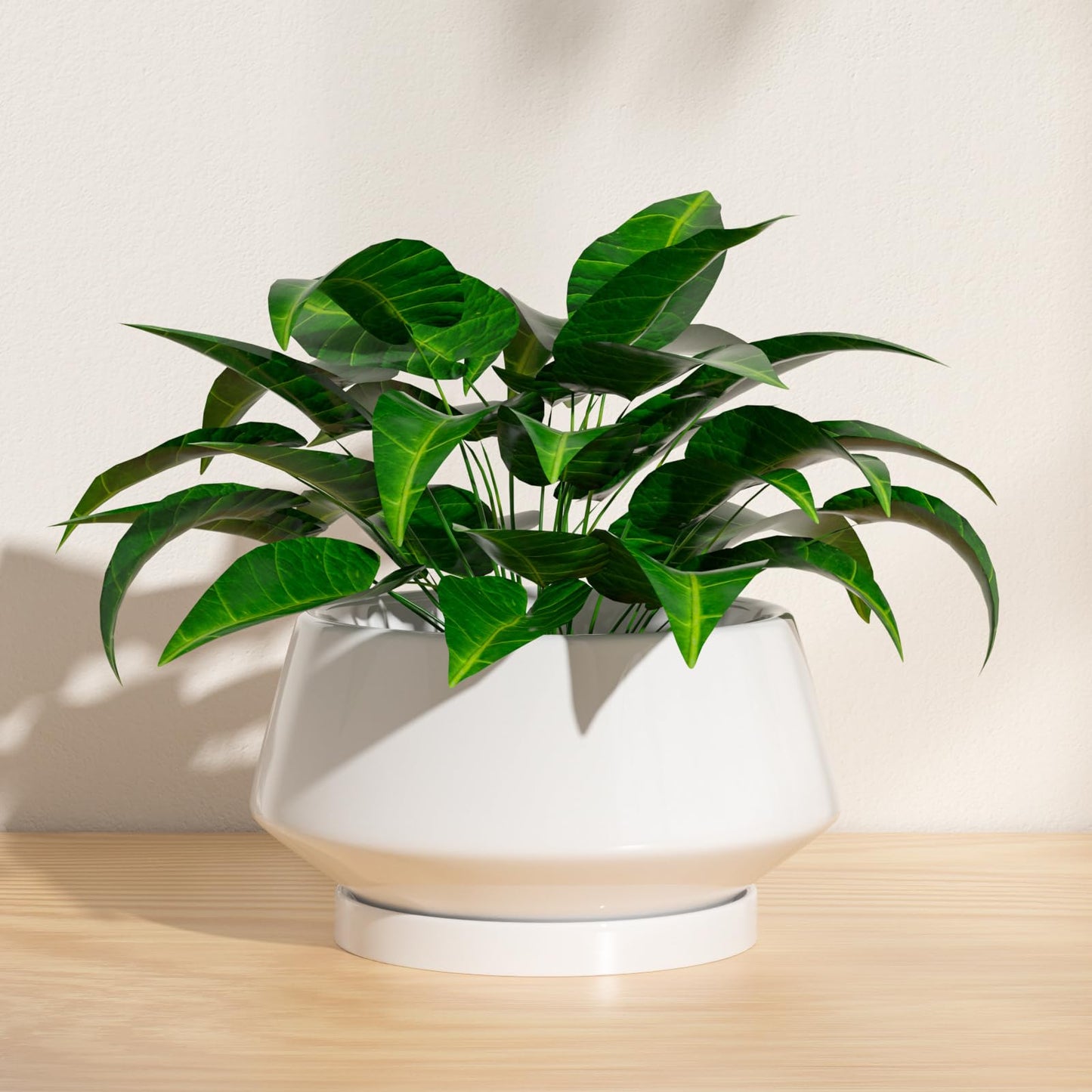 XiHuaer 8.3 Inch Ceramic Planter with Drainage Hole and Saucer, Indoor Outdoor Plant Pot for Plants, White