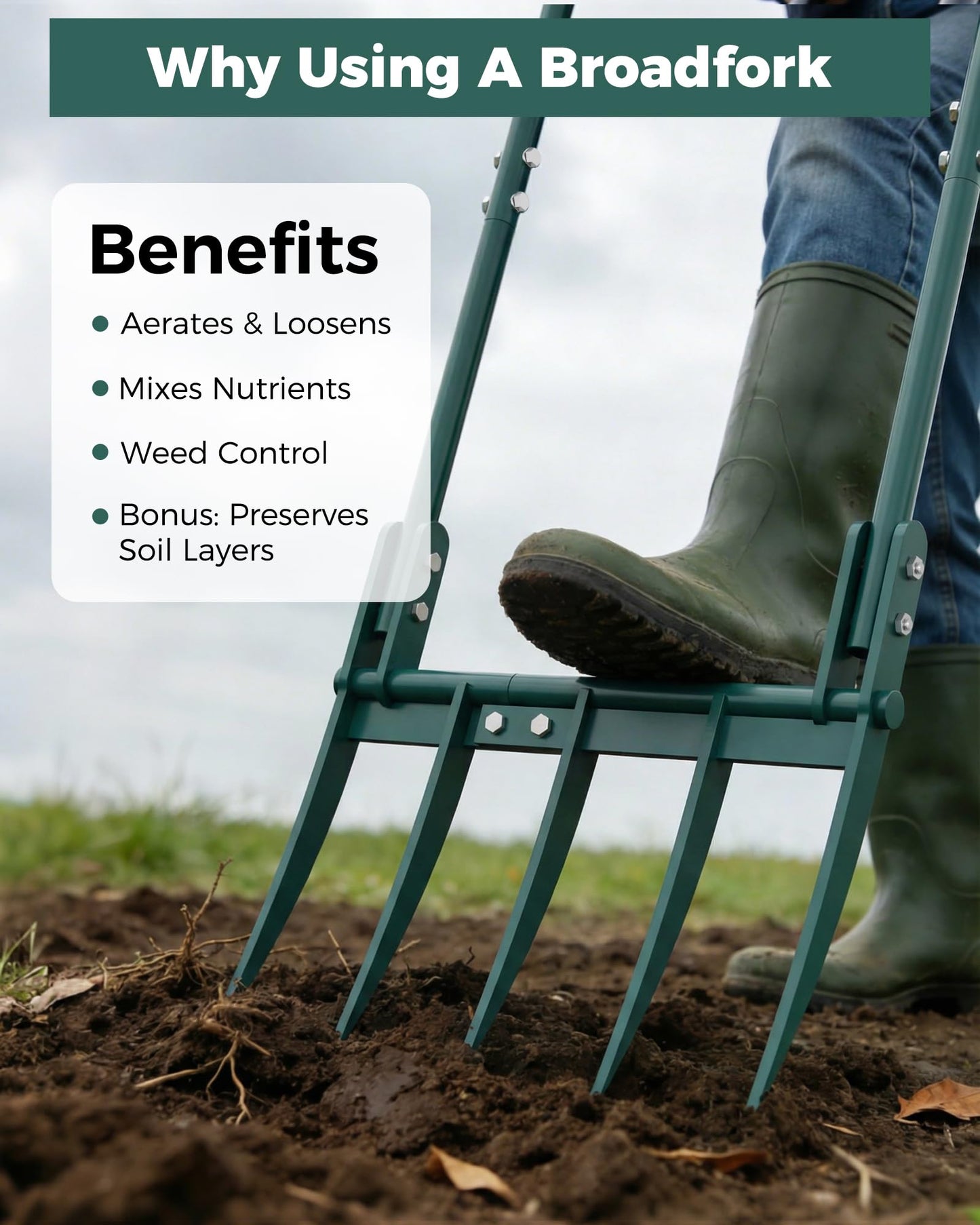 Forvenora Heavy Duty Broadfork Garden Tool, 5-Tine Manual Soil Tiller for Deep Digging & Turning Soil, 54" Long Broad Fork for Farm and Home Garden