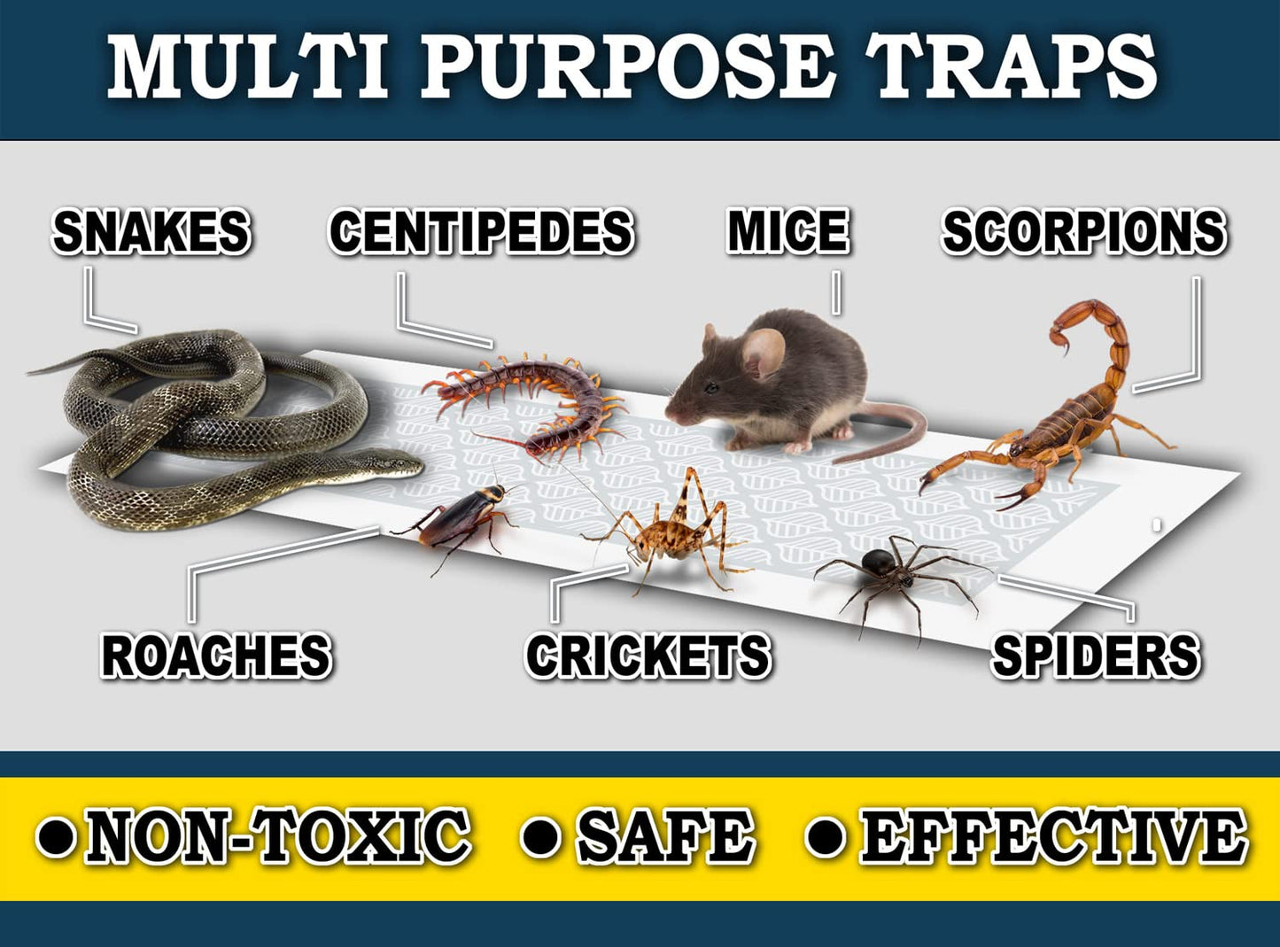 MaxGuard Glue Trap Strips (24 Traps) Non-Toxic Extra Sticky Glue Board Pre-Baited with Fruity Scent Attractant Trap & Kill Insects, Bugs, Spiders, Crickets, Scorpions, Cockroaches, Centipedes, Mice