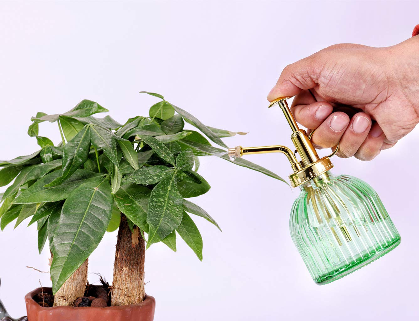 Aebor Glass Plant Mister Spray Bottle, 6.5" Green Glass Water Spray Bottle with Gold Top Pump Small Watering Can, Small Plant Sprayer Mister for Indoor Outdoor House (Green+Gold A)