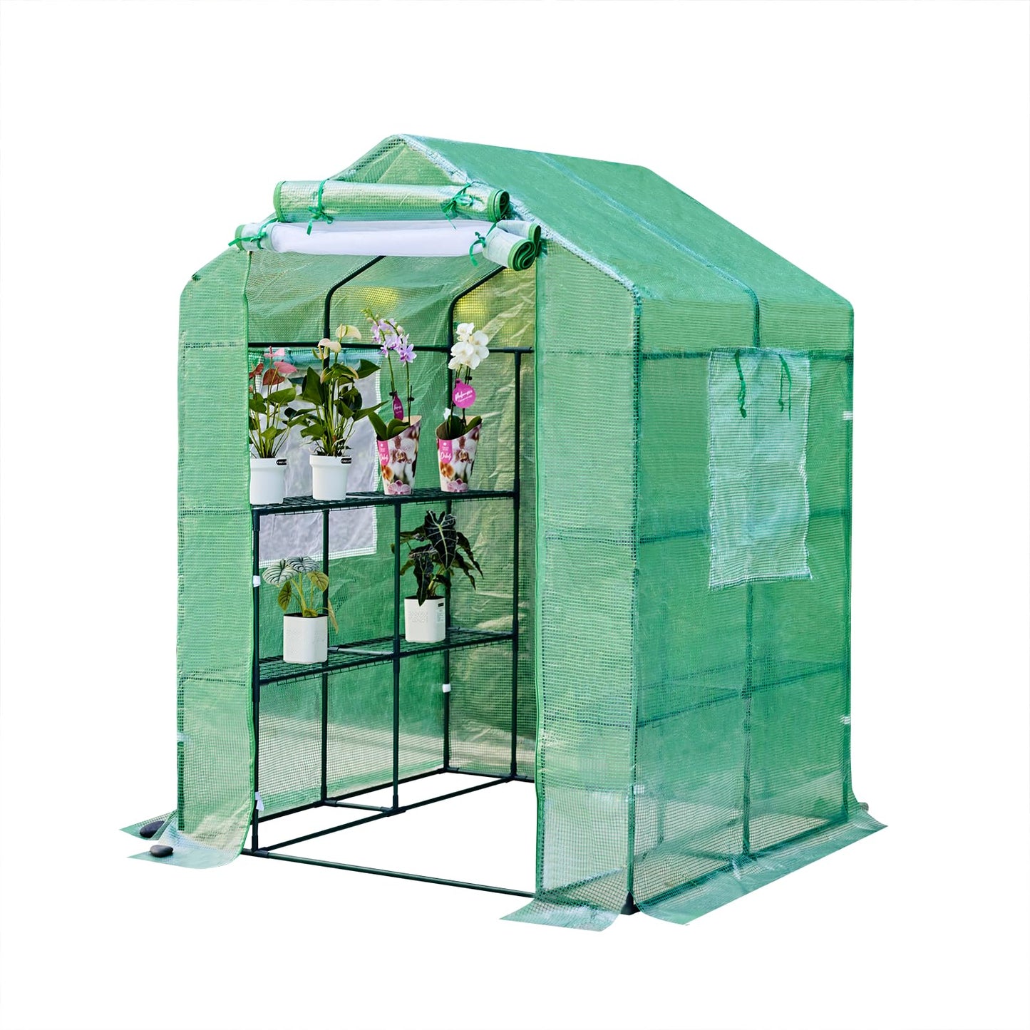 Solayis 56"×55"×74" Walk-in Garden Greenhouse | Thickened PE Cover & Heavy Duty Steel Frame | 3 Tiers 4 Shelves, Mesh Door & Windows | Portable for Indoor Outdoor Use (Green)