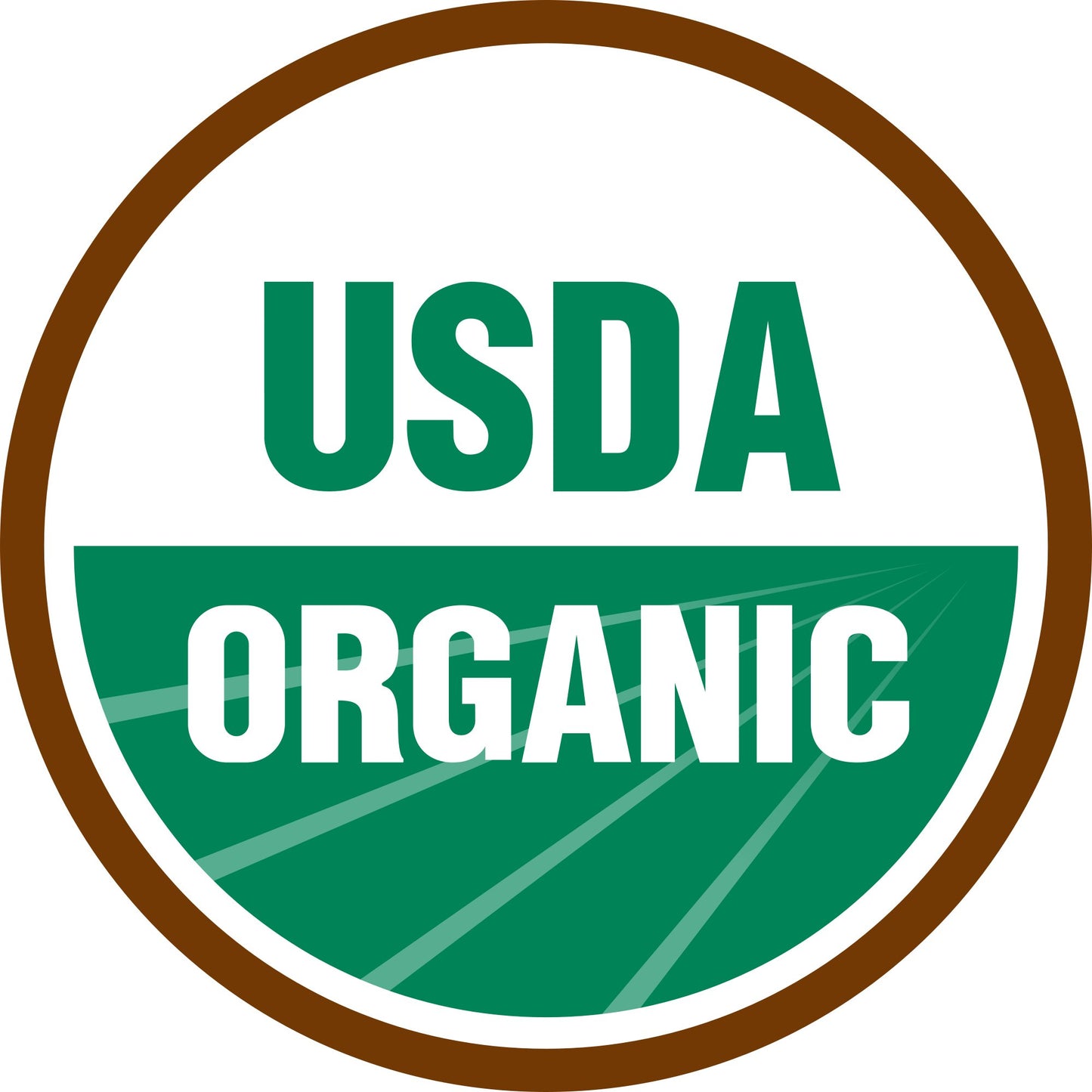 Organic Herb Seeds Variety Pack - 35 Individual Packs - 2026 Season - Basil, Cilantro, Dill, Thyme, Parsley and More! for Indoor & Outdoor Planting (Non-GMO, Certified Organic)