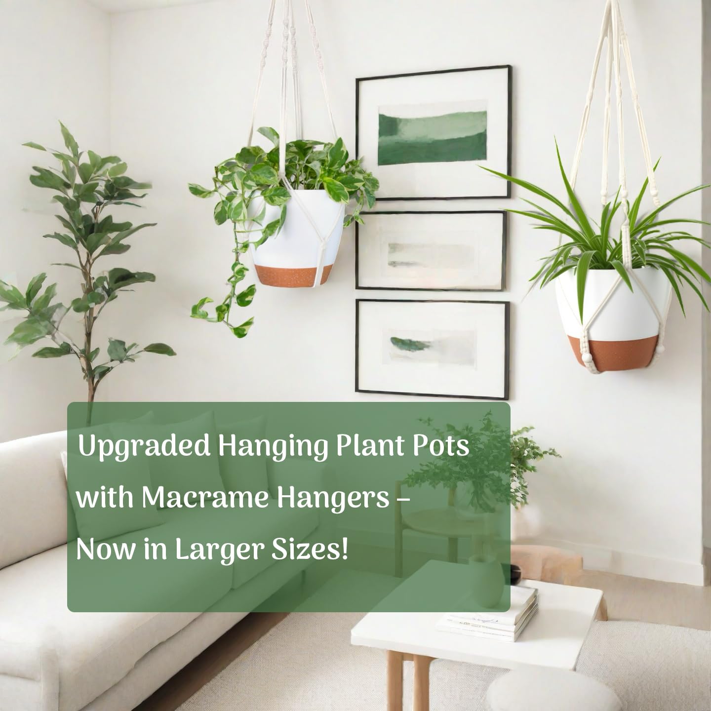 Bouqlife 3 Pack 10/8/7 Inch Hanging Planters for Indoor Plants with Self-Watering Hanging Pots with Drainage, 3 Different Size Macrame Plant Hangers with Hooks White Large