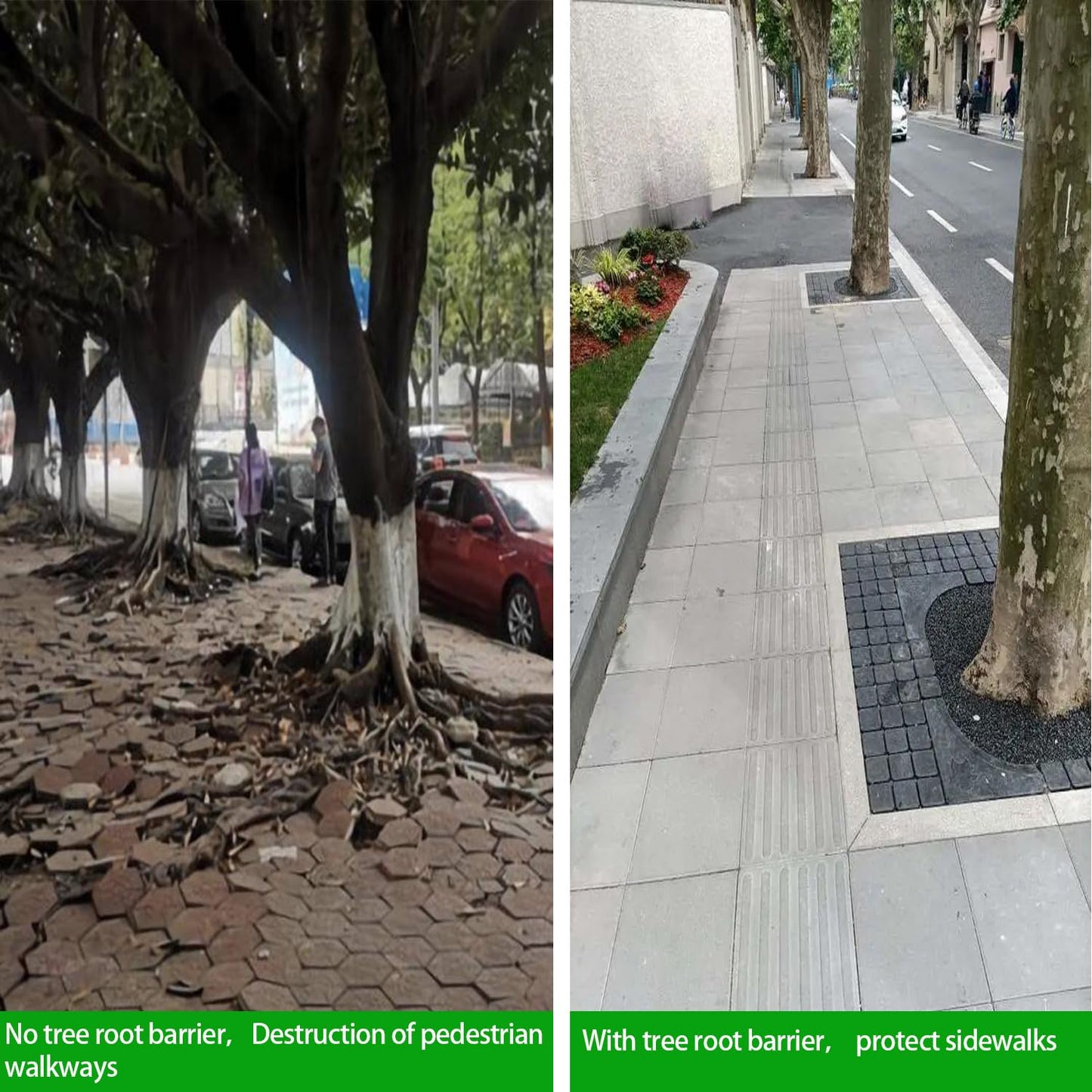 50ft x 30inx 80mil Tree Root Barrier for Landscaping & Protect Roads | Bamboo Barrier Heavy-Duty Root Blocker Rhizome Control Barrier