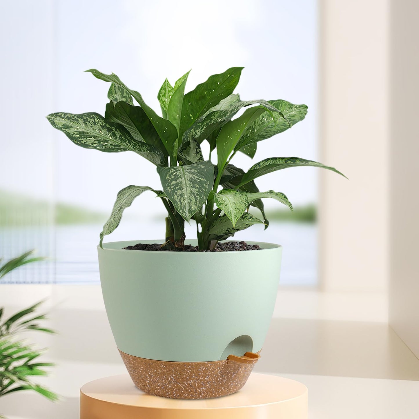 Meowell 12 inch Large Self Watering Pots, Plant Pots with Mesh Drainage Holes for Indoor Outdoor Plants, Plastic Planters with Deep Reservoir for Garden House Flower Plants, Green with Brown
