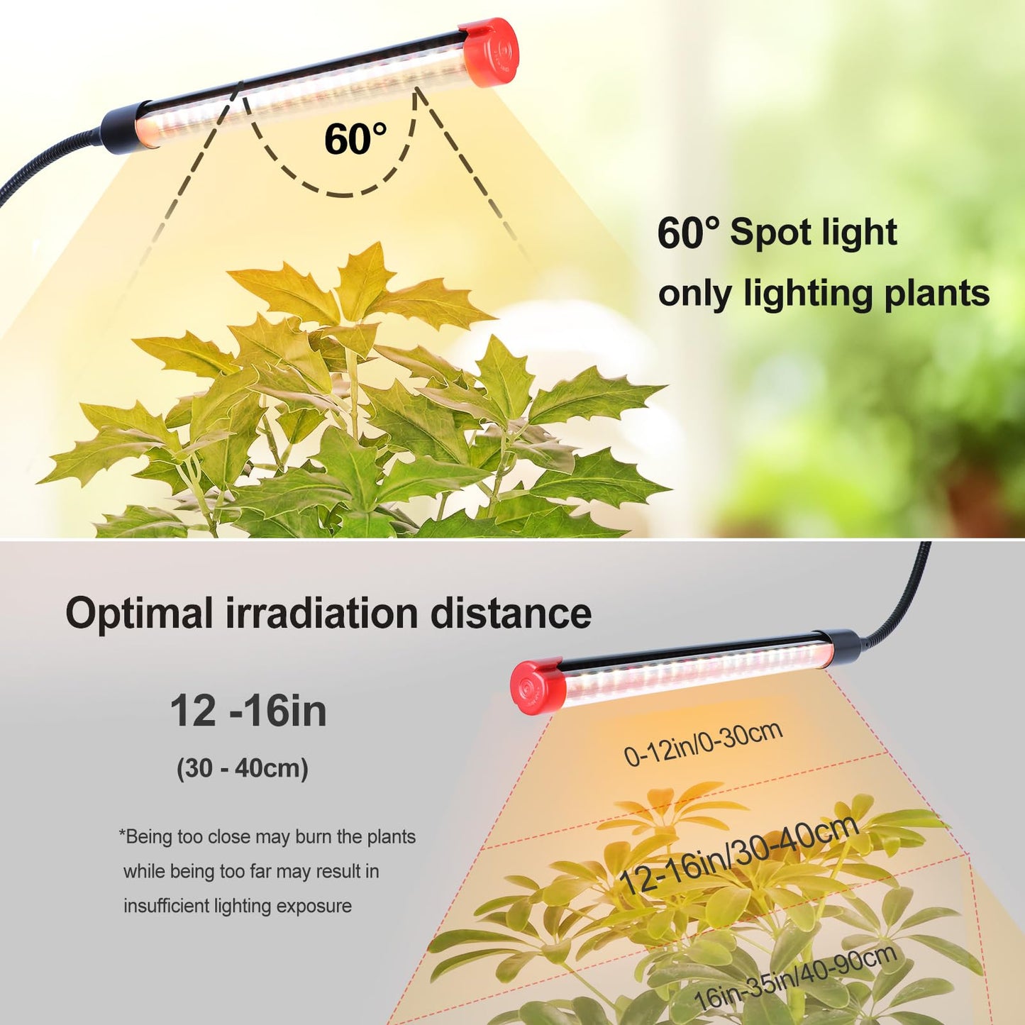 FRGROW 4Head Grow Light with Stand for Tall Indoor Plants, Bonsai Tree, Bright Full Spectrum Plant Growing Lamps, 4/8/12/16/20H Timer, 36 Watt Power Draw, NO Need Adapter, 360° Gooseneck