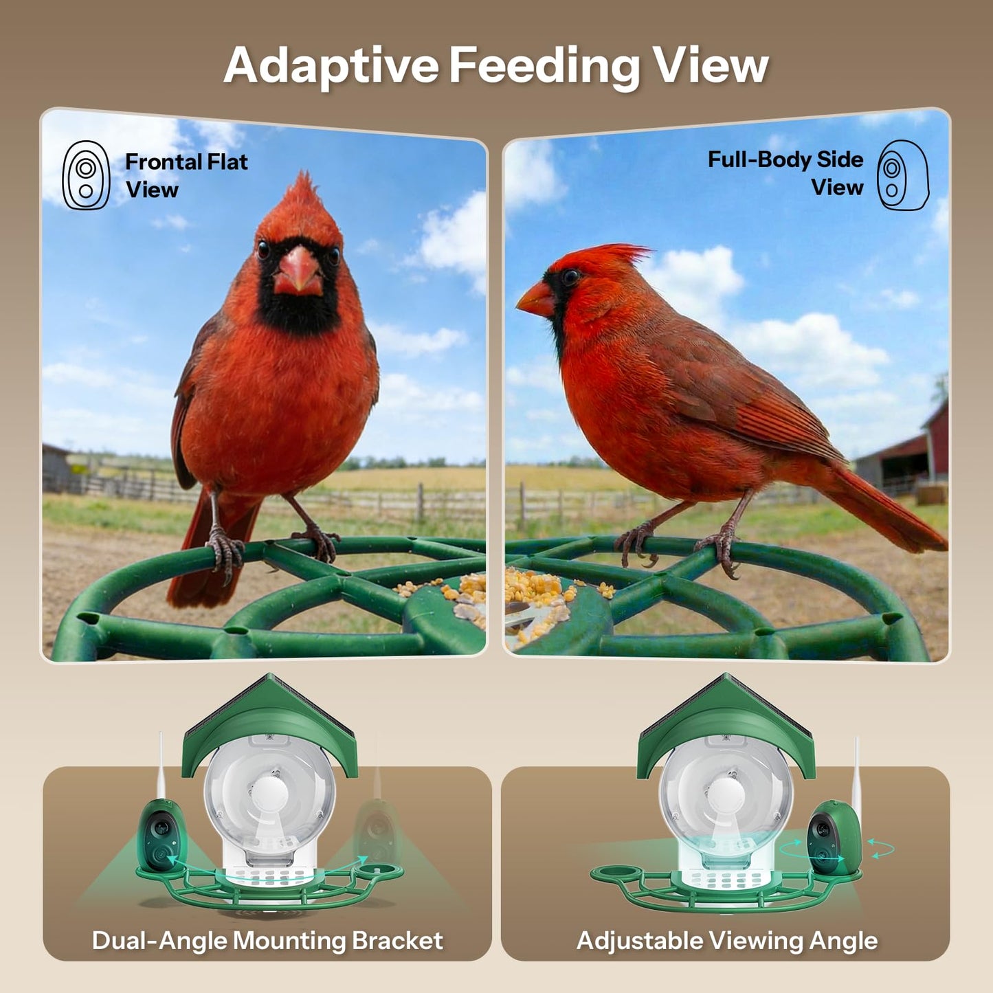 Liscuty Smart Bird Feeder with Camera - 2K HD Smart Bird Feeder, Solar Powered Outdoor Birdhouse with AI Bird Identification for Backyard Birding & Wildlife Bird Watching, Gift for BirdLover (Green)