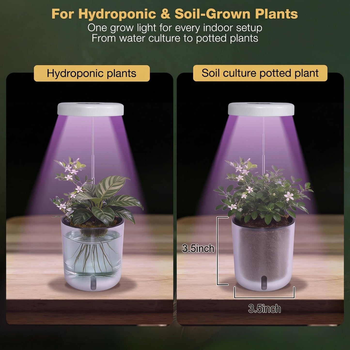 Raygrov Self-Watering Planter with Grow Light — Indoor Herb Garden Kit, Smart Plant Pot for Microgreens, Cat Grass, Catnip & Houseplants, 2-in-1 Wall + Desktop, USB 5W Full Spectrum LED