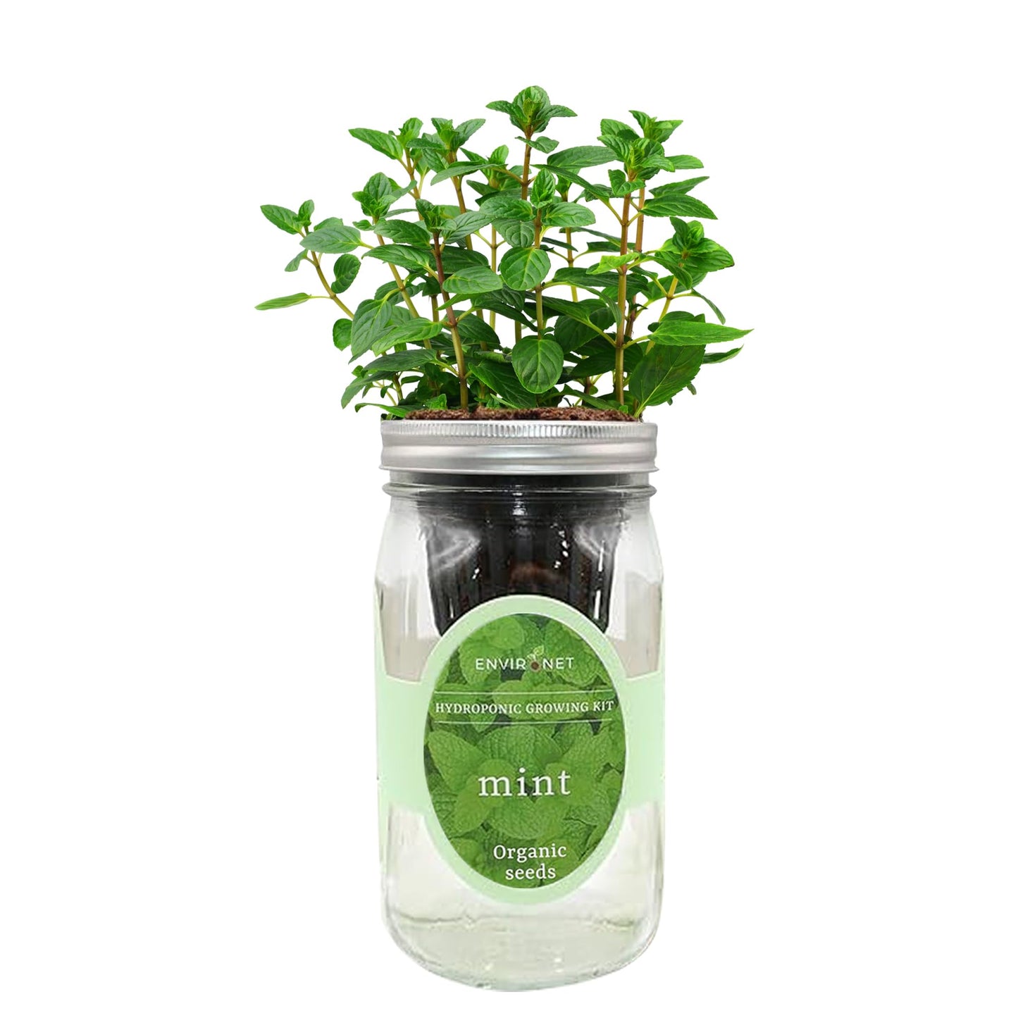 Hydroponic Herb Growing Kit, Self-Watering Mason Jar Herb Garden Starter Kit Indoor, Window Herbs Garden, Grow Your Own Herbs from Organic Seeds (Mint)