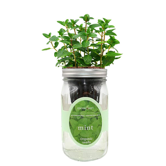 Hydroponic Herb Growing Kit, Self-Watering Mason Jar Herb Garden Starter Kit Indoor, Window Herbs Garden, Grow Your Own Herbs from Organic Seeds (Mint)