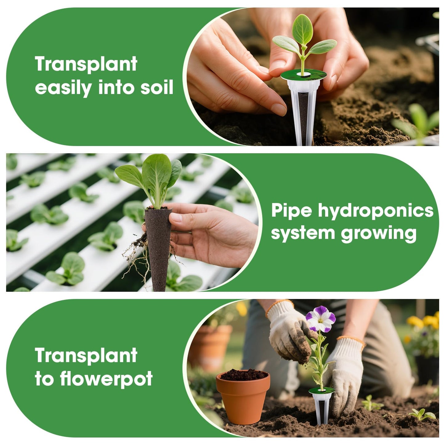 PlantaPulse 129Pcs Hydroponic Pods Kit with A&B Plant Food, 50 Grow Sponges, 50 Plant Labels, 12 Grow Baskets, 12 Grow Domes and 1 Tweezers - Indoor Hydroponics Supplies