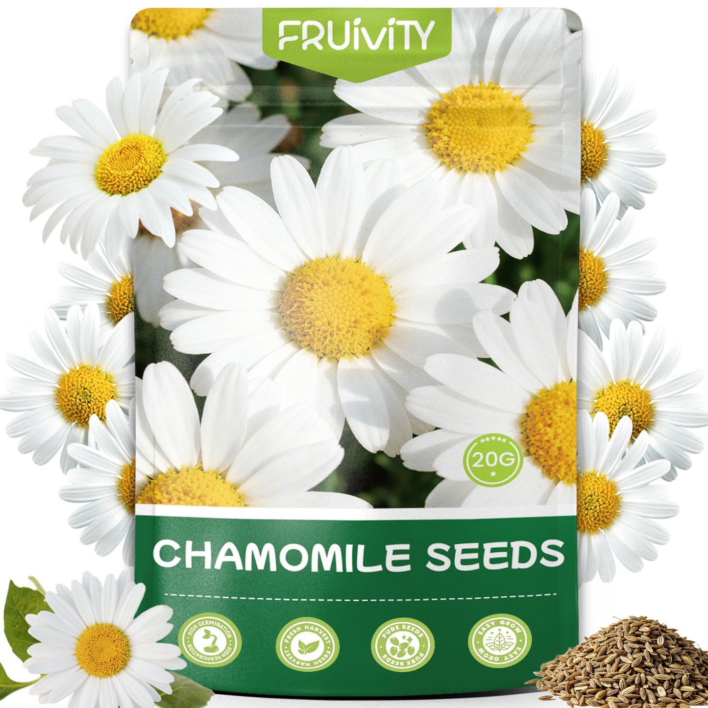 Fruivity 2300+ German Chamomile Seed Pack, Perennial Seeds for Planting, Herb Seed to Plant, Easy to Grow, High Germination, for Home Garden Indoor Outdoor