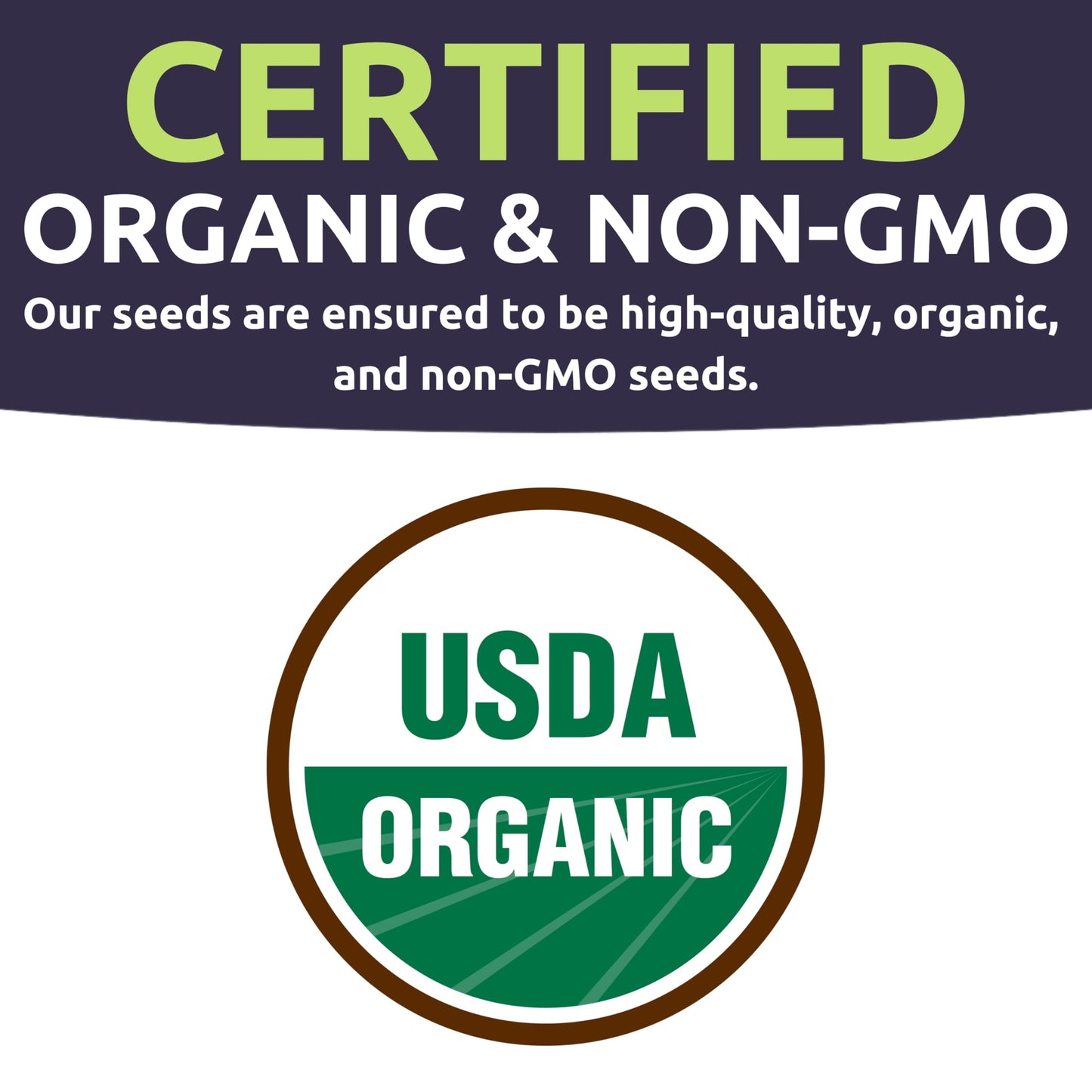 Organic Seeds Ultimate Variety Pack - 60 Individual Packs - 2026 Season - Genovese Basil, Nantes Carrot, Roquette Arugula and More! for Indoor & Outdoor Planting (Non-GMO, Certified Organic)