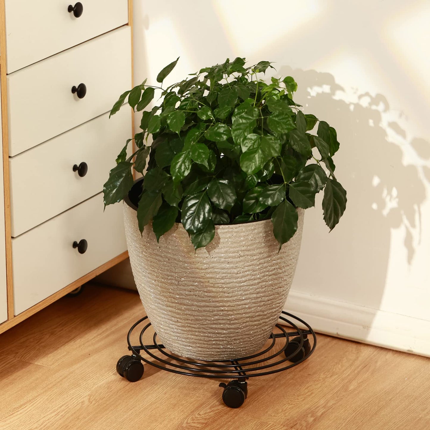 6 Packs 12 Inches Large Metal Plant Caddy with Wheels Rolling Plant Stands Heavy-duty Wrought Iron Plant Roller Base Pot Movers Plant Saucer on Wheels Indoor Outdoor Plant Dolly with Casters Planter Tray Coaster