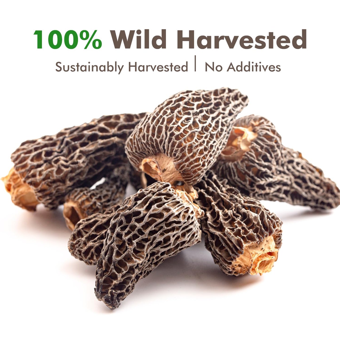 VIGOROUS MOUNTAINS Premium Dried Wild Morel Mushrooms 2oz, Wild Harvested, Earthy Flavor & Rich Umami-Perfect for Gourmet Cooking, Soups, Pasta & Risotto (56.7g)