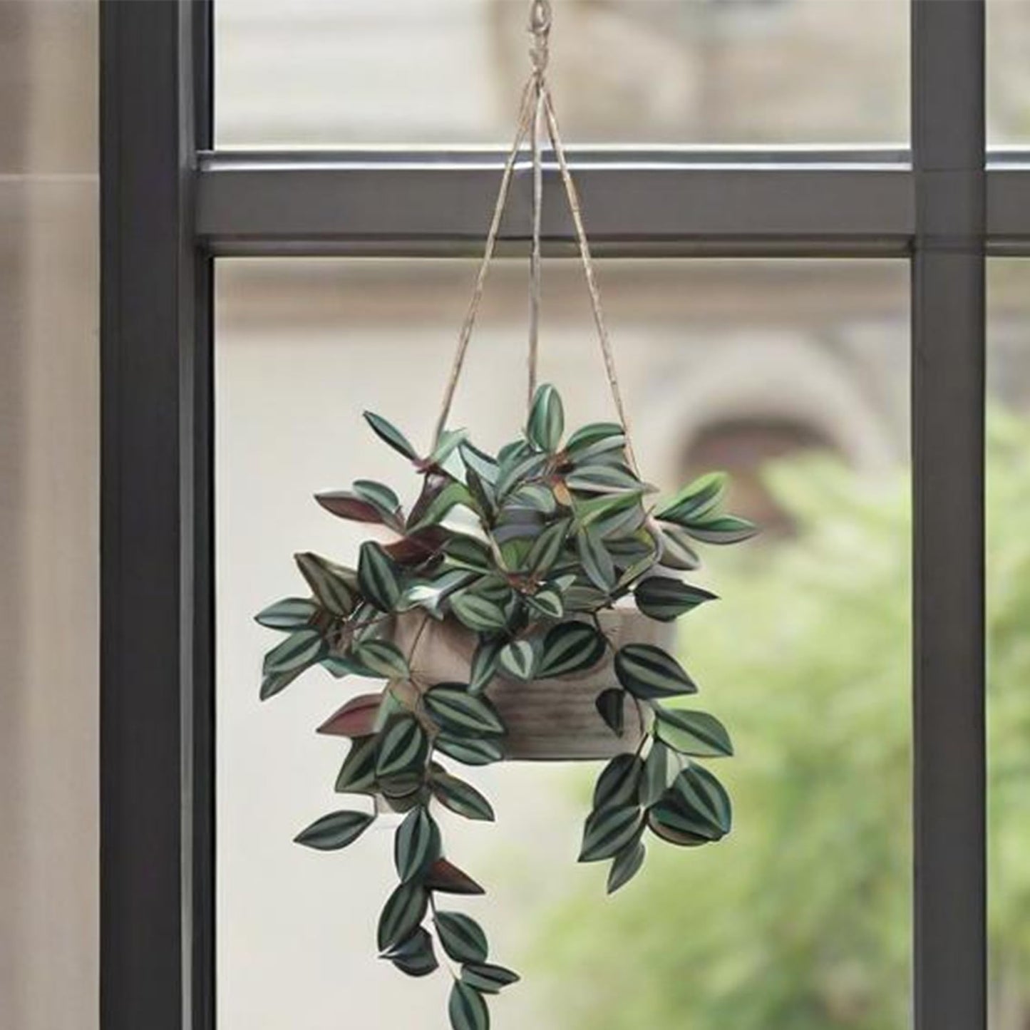 CYS EXCEL Small Wooden Hanging Planter Paulownia Wood Bowl Basket with Jute Rope for Indoor Plants Succulents