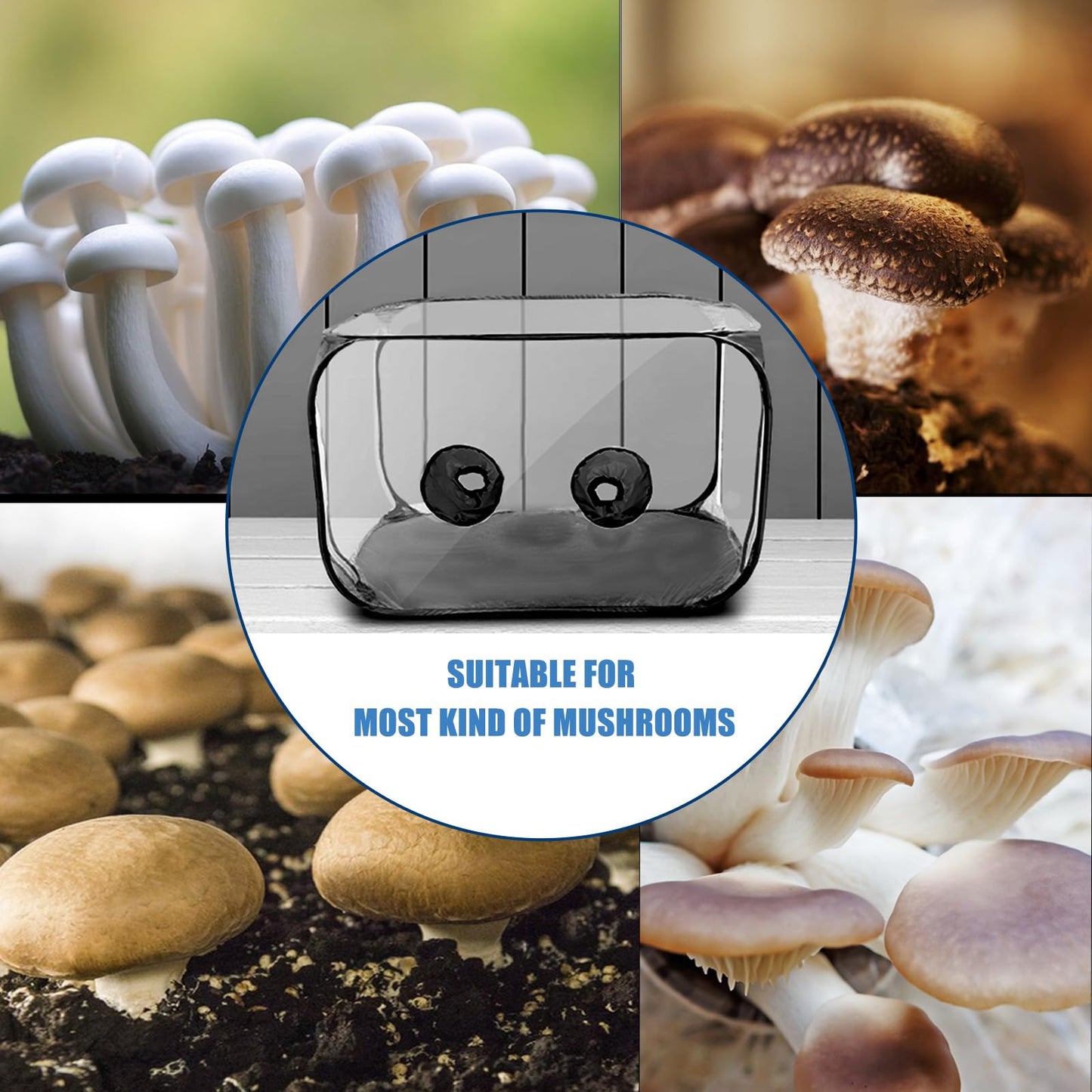 Still Air Box, Mushroom Grow Kit, Portable Compact Still Air Box Mycology for Mushroom Lovers, Mushroom Fruiting Chamber for Mycology Supplies/Home Scientists (35.5x23.5x23.5 inch) - Black