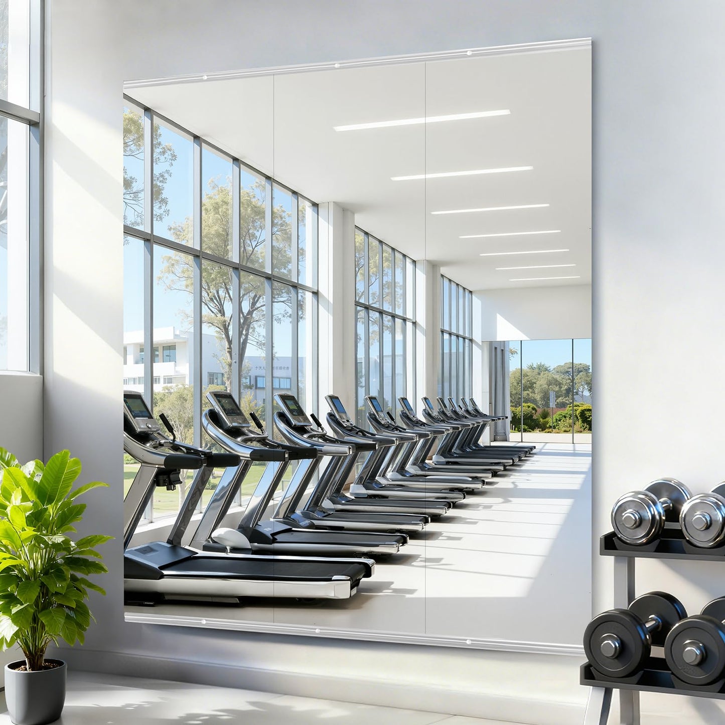 Amorho Gym Mirror, 56''x48''(3pcs 56''x16''), Frameless Full Body Mirror for Home Gym Wall, Tempered Glass, Yoga Studios, Dance Rooms, Garage Gyms.