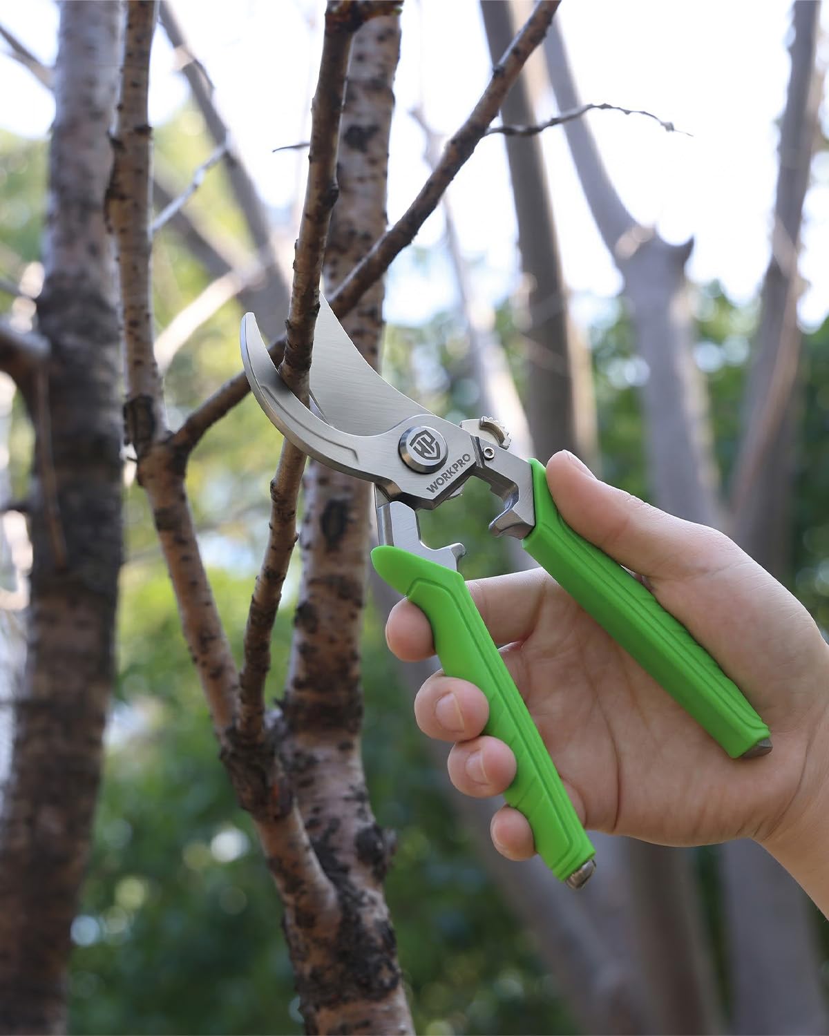 WORKPRO 8.5" Bypass Pruning Shears, Professional Garden Shears with Forged Steel Blades, 3/4" Cut Capacity, Spring-Loaded, Safety Lock, Hand Pruner & Plant Clippers for Trimming, Bonsai, Flowers