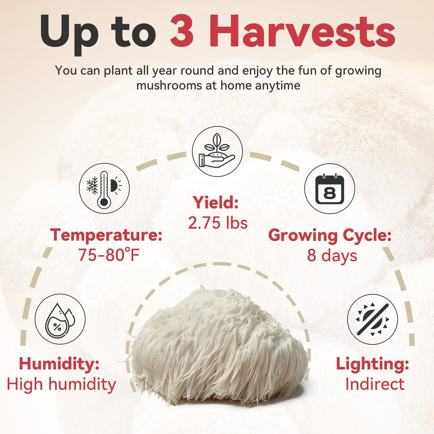 inbloom Organic Lion's Mane Mushroom Growing Kit with Spray, Harvest Fresh Mushrooms at Home, Beginner Friendly & Easy to Use, Unique Gardening Gift for Holiday, Handmade in New Jersey, USA
