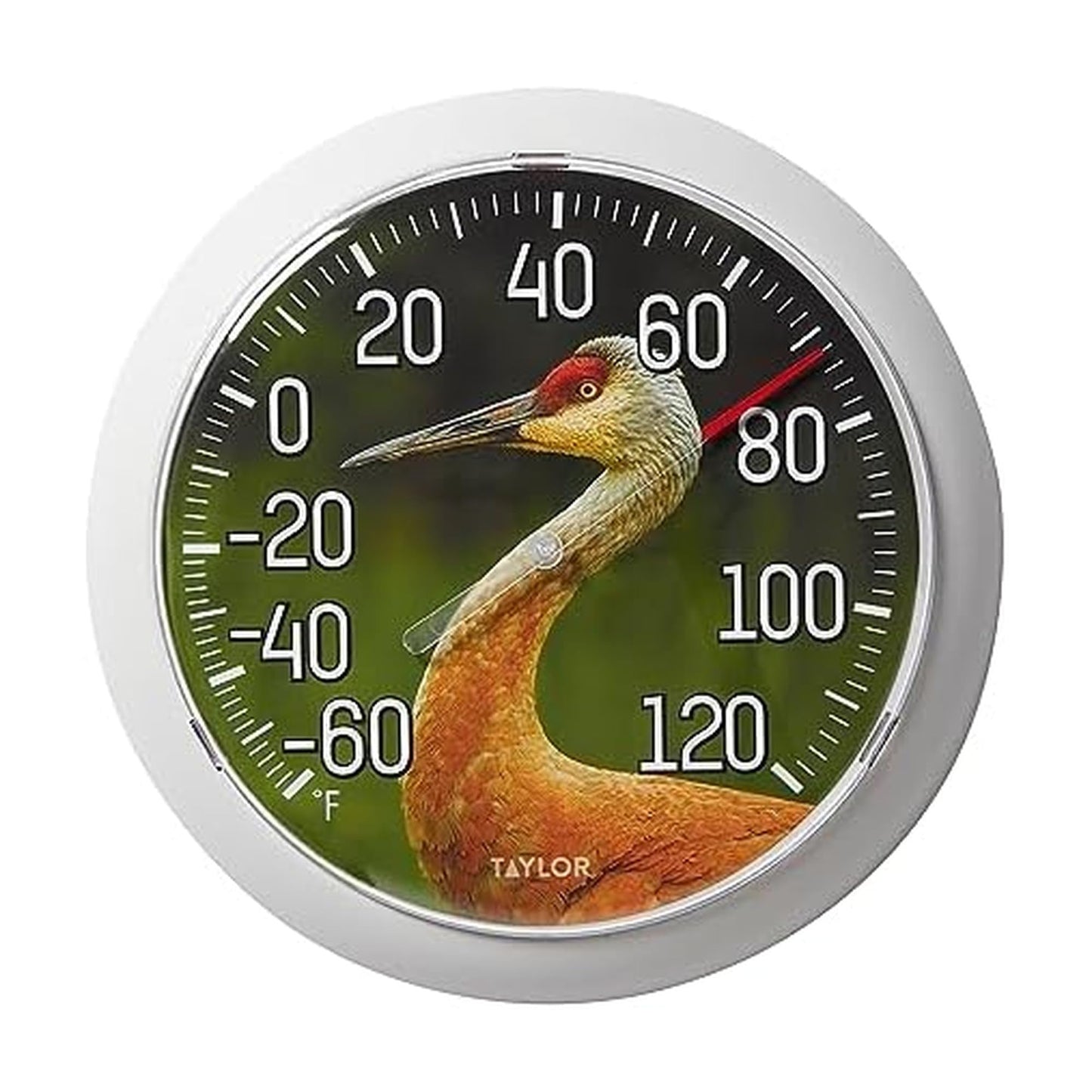 Taylor Nature Series Sandhill Crane Indoor Outdoor Dial Thermometer, Easy to Read Wall Decor for Patio, Pool, Yard, Garden or Garage, 8.5 Inch, Gray Bezel
