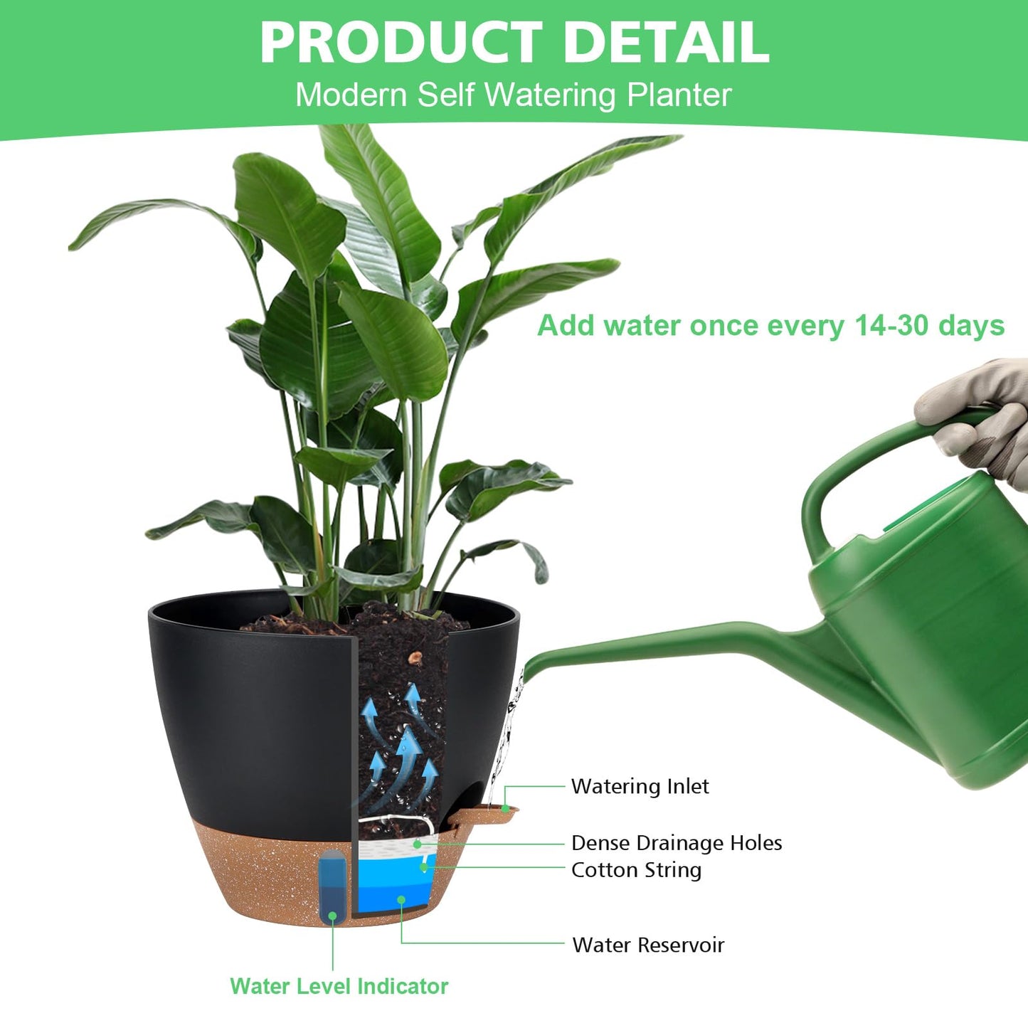 Self Watering Planter Set with Visual Water Level, 6Pack Small Plastic Pot with Drainage Holes and Reservoir Saucers, Modern 8+7+6.5+6+5.5+5 Inch Bottom Watering Flower Pots for Indoor Plant - Black