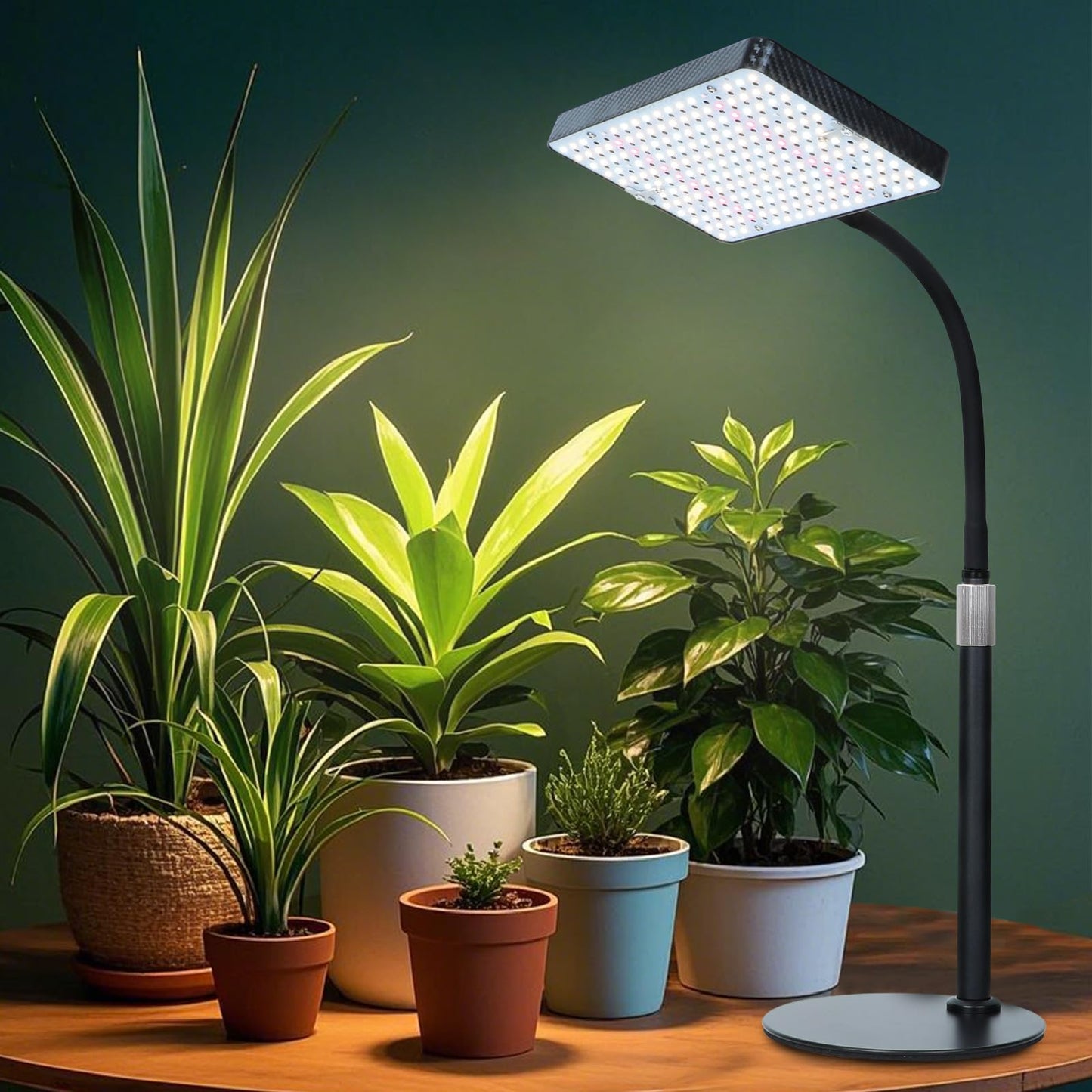 FECiDA Tabletop Grow Lights for Indoor Plants Full Spectrum, Desk Grow Lights for Seed Starting, Bonsai, 4/8/12/16/20 Hr Timer, 208PCS LEDs, 2000 Lumen, Bright Enough, 16"-24" Height Adjustable