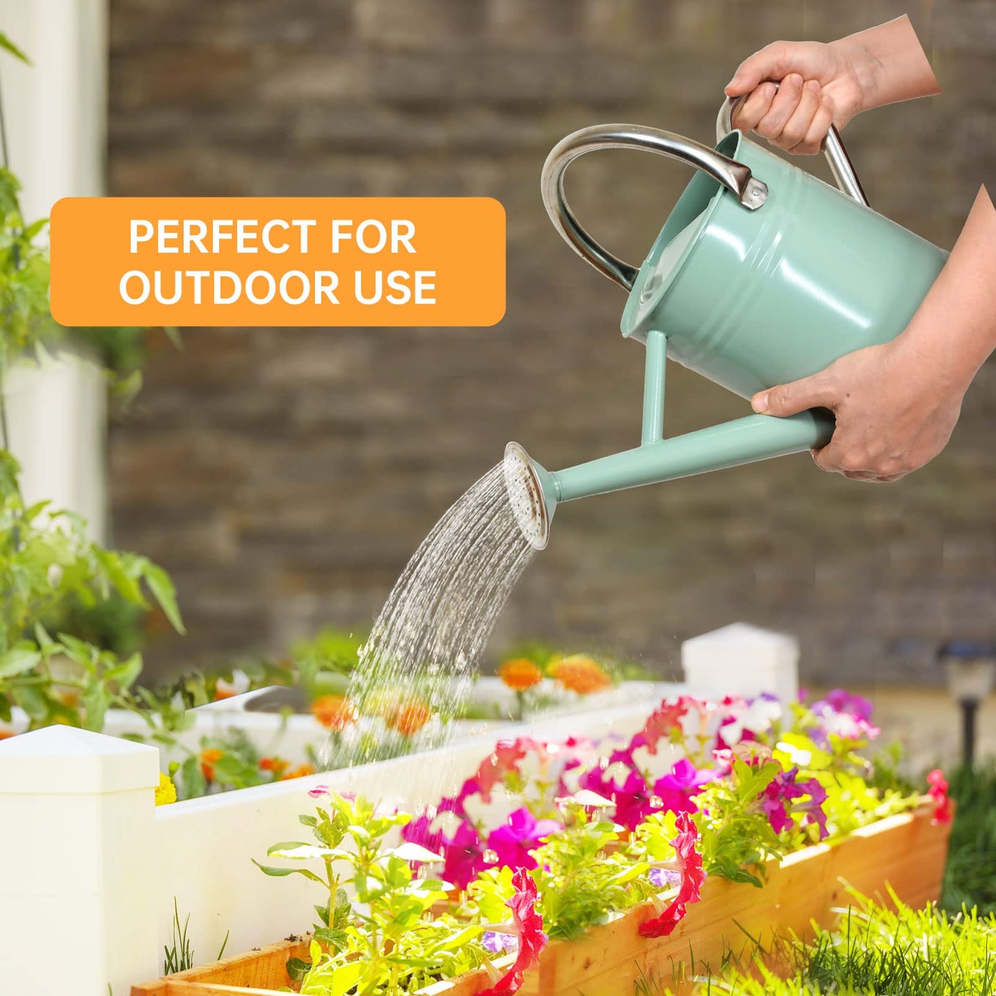 Lechloris Metal Watering Can for Outdoor Plants, Galvanized Steel Watering Can with Removable spout, 1 Gallon,Perfect Home & Garden Décor Cream Green