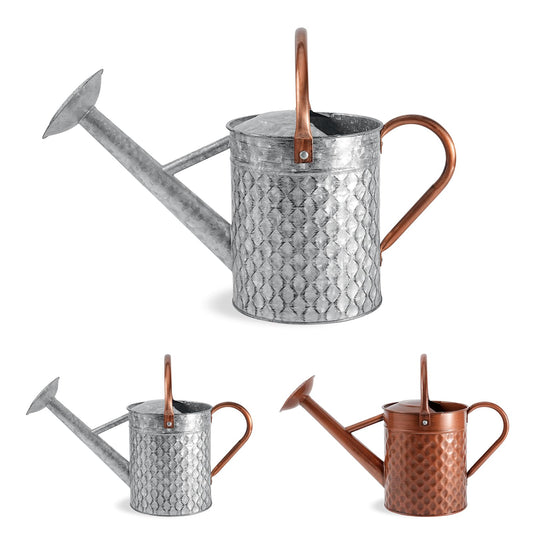 BLstyle 1 Gallon Metal Watering Can for Outdoor Indoor Plants, Galvanized Watering Can with Removable Spray Spout, Ideal for Garden Watering