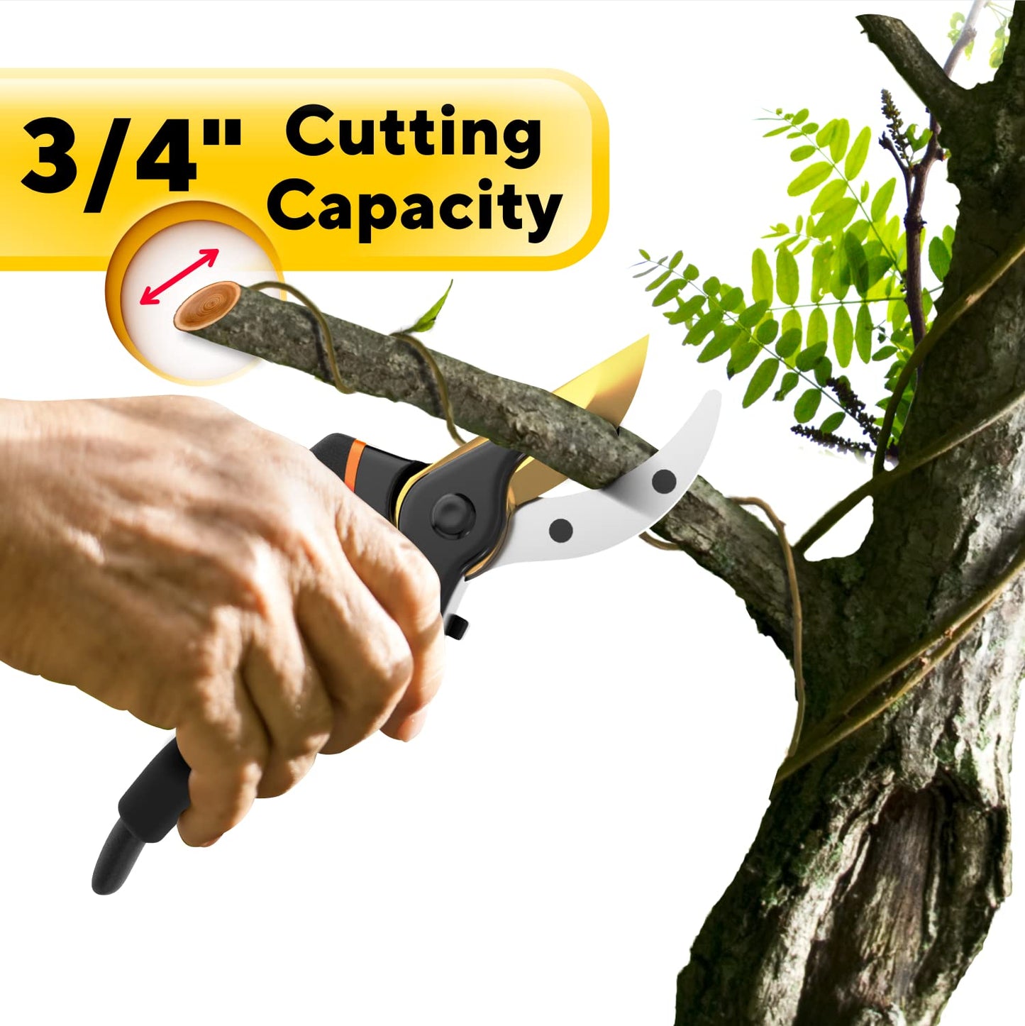 Premium Bypass Pruning Shears for your Garden - Heavy-Duty, Ultra Sharp Pruners w/Soft Cushion Grip Handle Made with Japanese Grade High Carbon Steel - Perfectly Cutting Through Anything in Your Yard