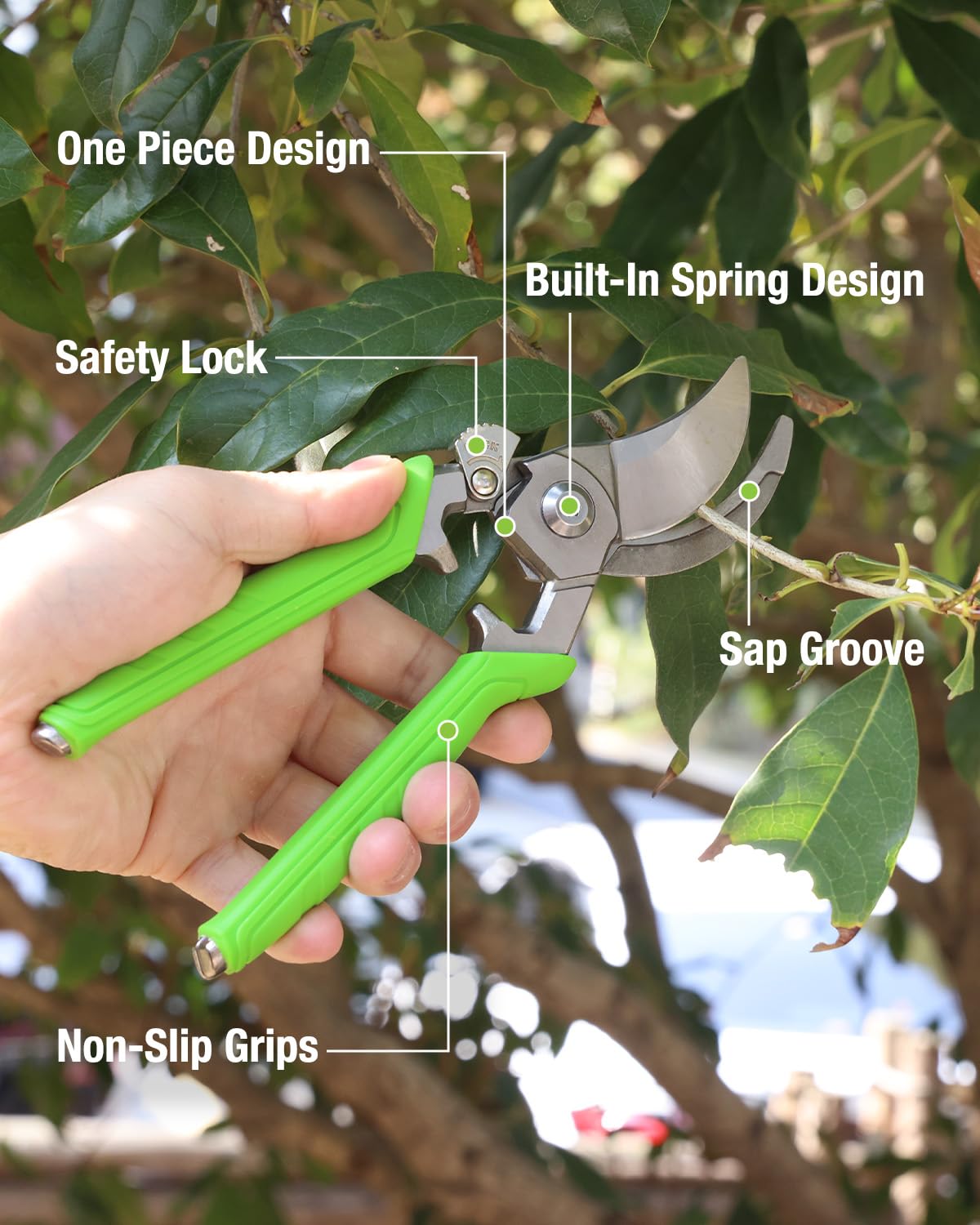WORKPRO 8.5" Bypass Pruning Shears, Professional Garden Shears with Forged Steel Blades, 3/4" Cut Capacity, Spring-Loaded, Safety Lock, Hand Pruner & Plant Clippers for Trimming, Bonsai, Flowers