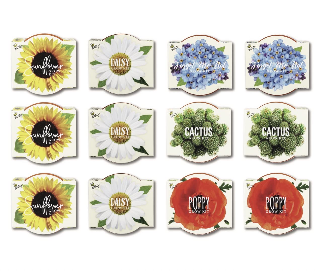 BUZZY Seeds Mini Terracotta Pots 12-Pack with Plant Seeds, Poppy, Sunflower, Daisy, Cactus and Forget Me Not, All-in-One Seed Starter Kit, Indoor Outdoor Gardening Gift, Wedding Favors, Mother's Day