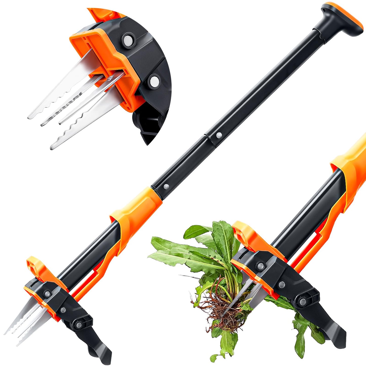 Crywag Weed Puller Tool - Stand Up Weed Puller with 4-Claw Steel Head, 39"-46" Retractable Handle & Easy-Eject Mechanism for Dandelions, Clover & More, No Bending or Kneeling