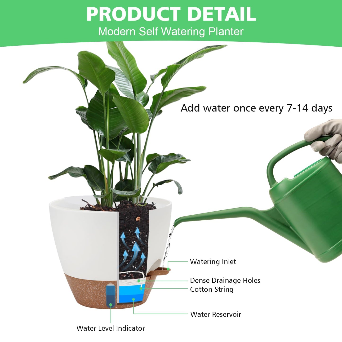 12" 10" 9" 8" Self Watering Pots with Water Level Indicator, Large Plastic Planters Set with Mesh Drainage Hole and Removable Saucer Reservoir, Big Flower Pot for Indoor Outdoor Plants - White