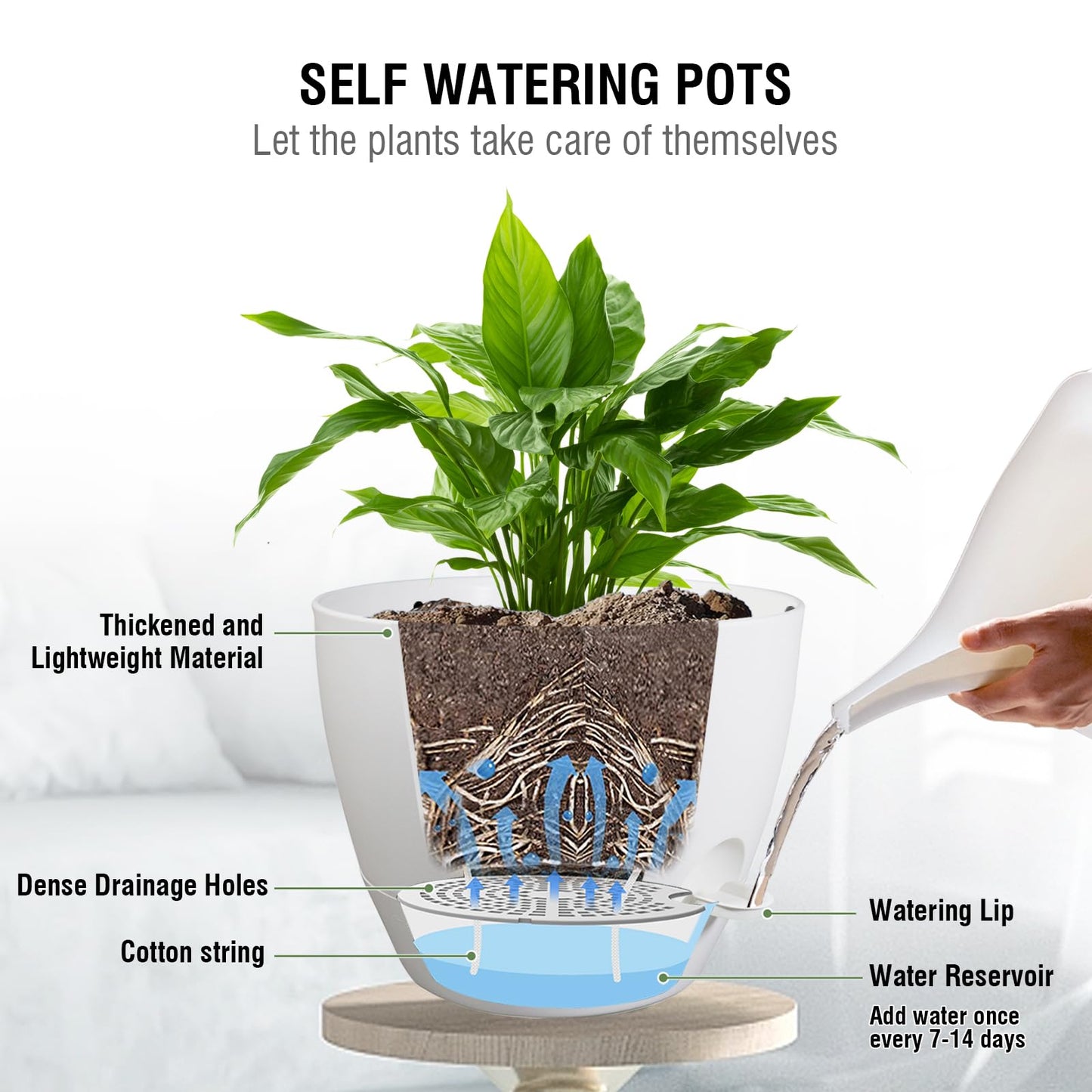 Meowell 10 inch Self Watering Hanging Planters, 2 Pack Hanging Flower Pots for Indoor Outdoor Plants, Hanging Baskets with Drainage Holes & 2 Kinds of Plant Hangers for Garden Home Decor, White