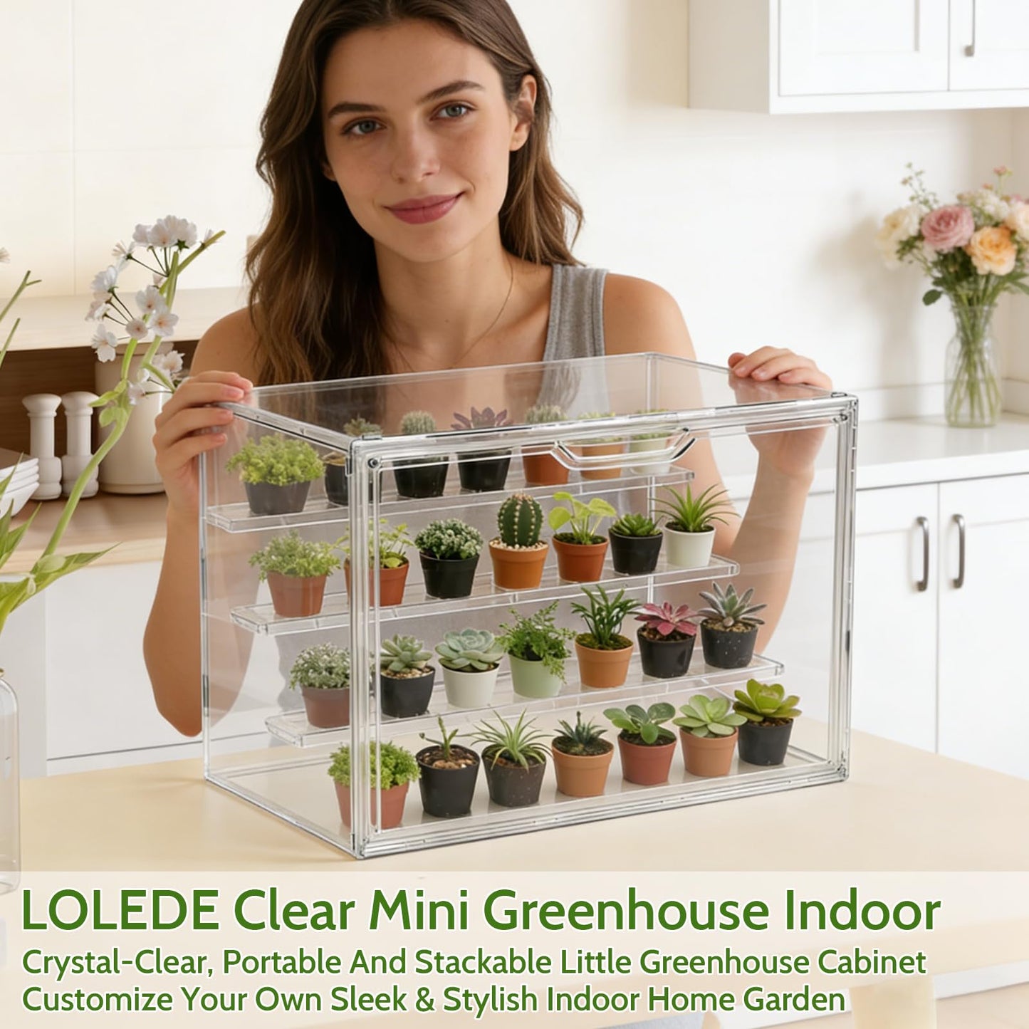 LOLEDE Clear Mini Greenhouse Indoor, Small Stackable Tabletop Portable Green House with Magnetic Door for Plant Seed Germination, Home Gardening Display,etc. (14.2x8.7x10.6in, 1 Pack)