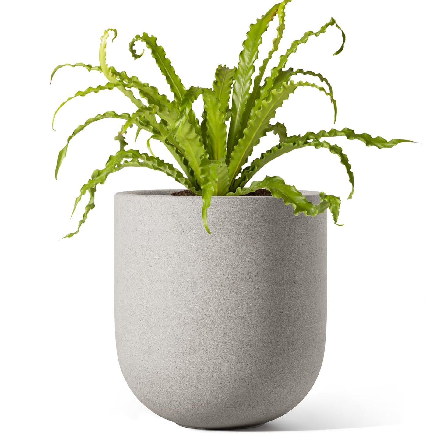 LE TAUCI 6 Inch Plant Pot, Ceramic Pot with Drainage Hole & Rubber Plug, Indoor Planter for Herbs & Small Houseplants, Cylinder Planter for Home Office, Neutral Gray