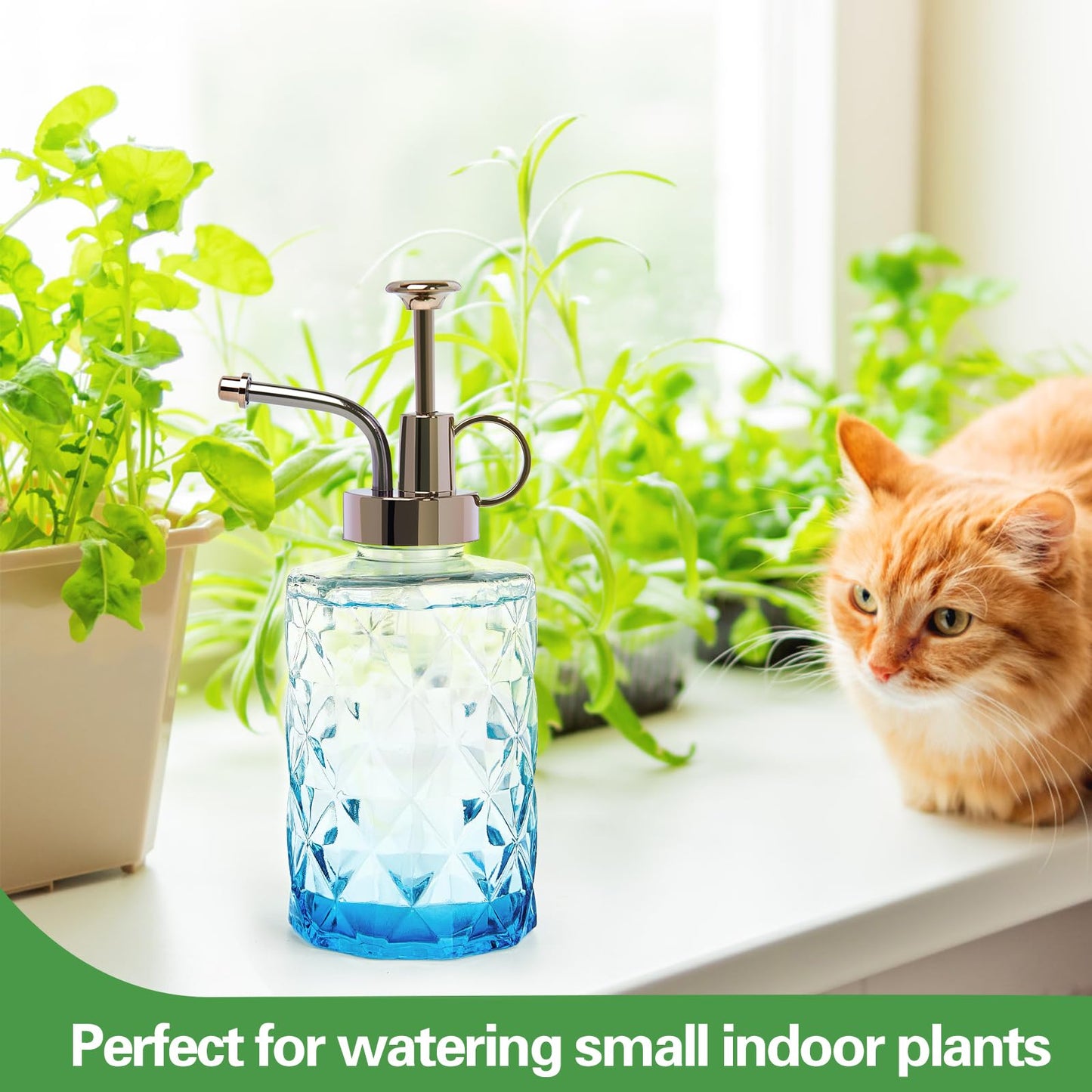 XXXFLOWER Upgraded Glass Plant Mister Spray Bottle 0.33L/11.15oz Decorative Spritzer Watering for Indoor House Plant Spritzer Succulent Watering Bottle