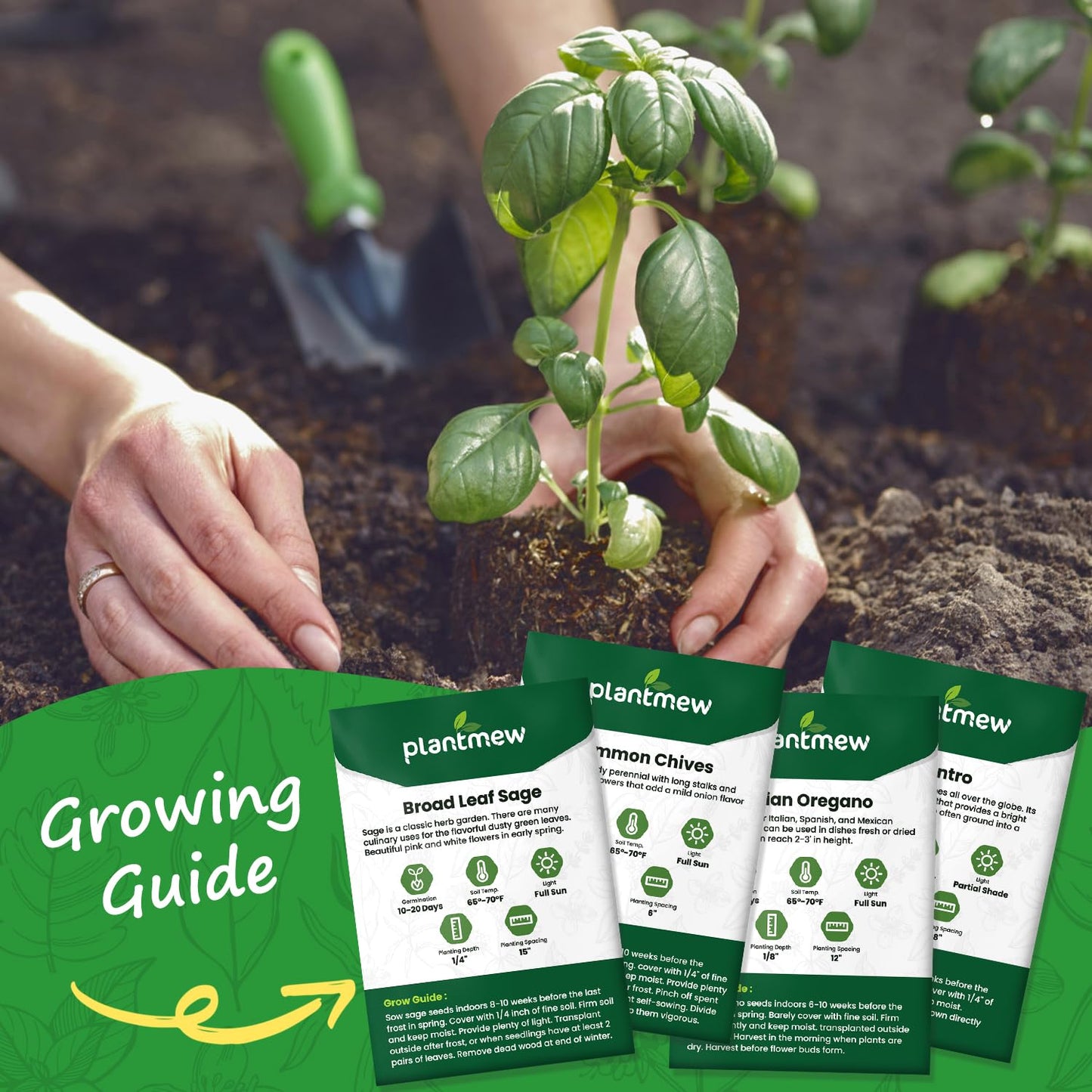 PLANTMEW 10 Herb Seeds Variety Pack - 7,000+ Heirloom Seeds - Basil, Cilantro, Lavender, Parsley, Dill, Thyme, Chives, Oregano, Sage, Herb Garden Kit for Planting Home Garden, Gardening Gift